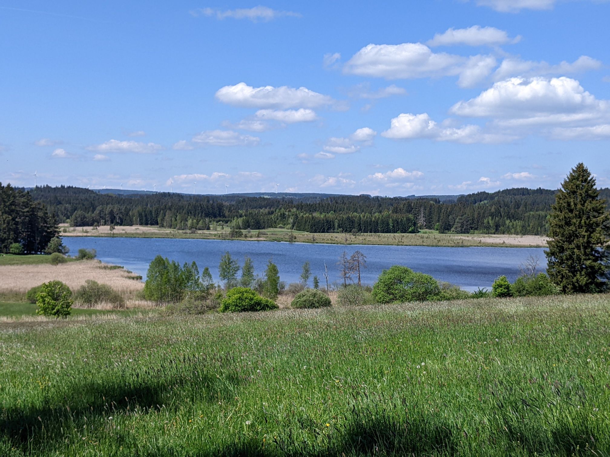 Elbsee