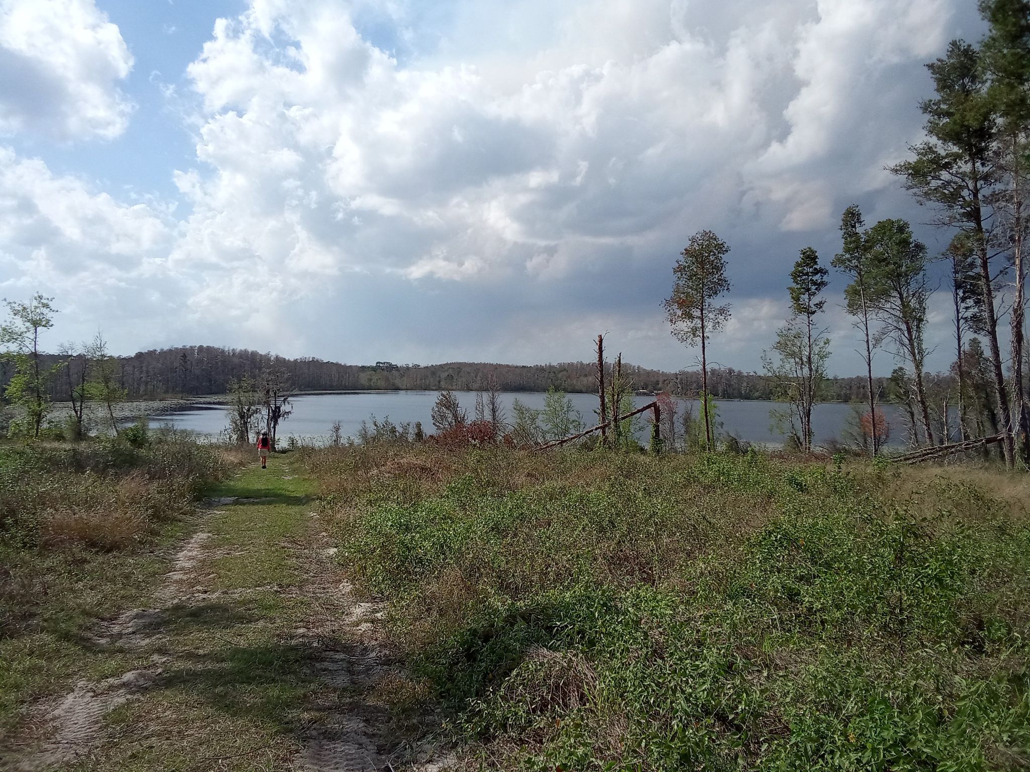 Grassy path leading to a lake surrounded by trees under a cloudy sky. - South Loop Trail