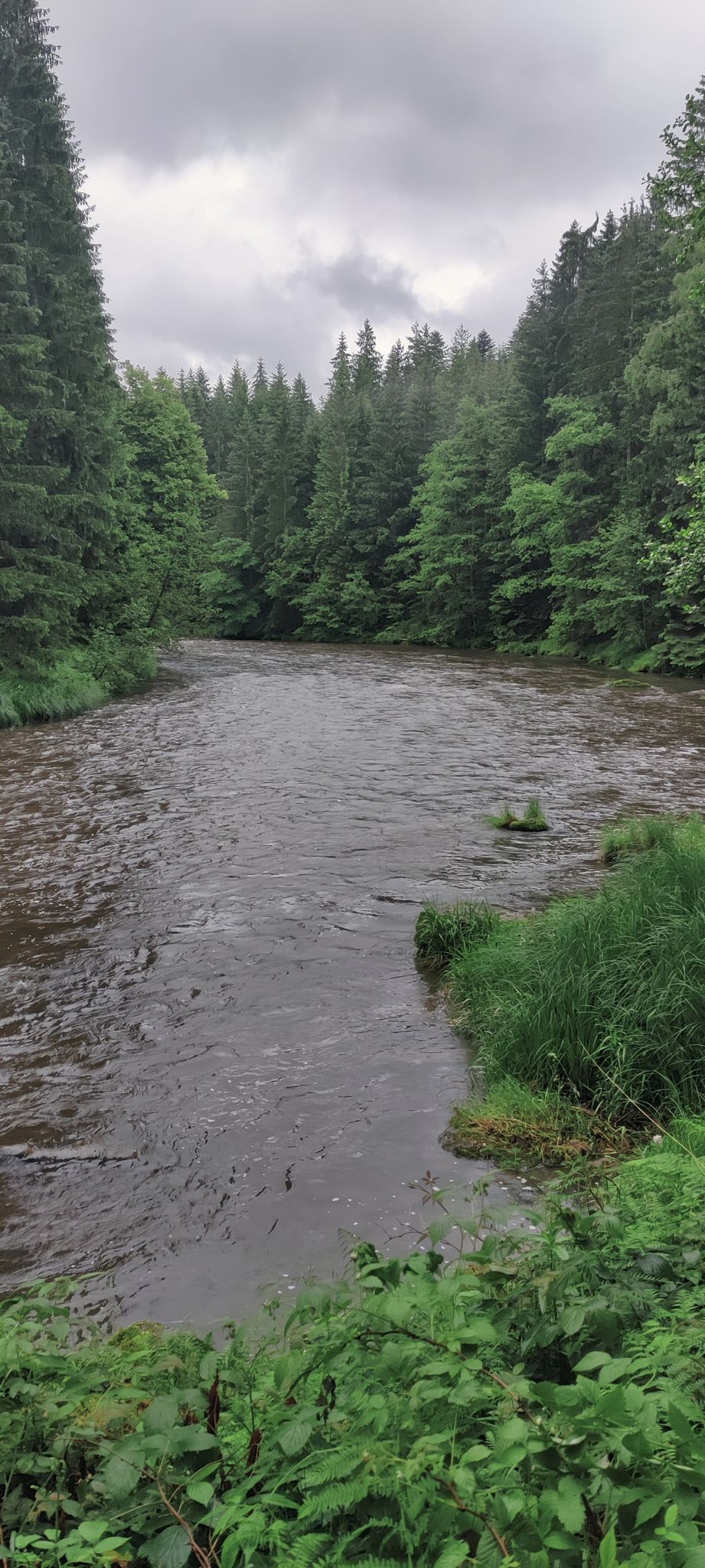 Der Schwarze Regen in "Bayerisch Kanada"
