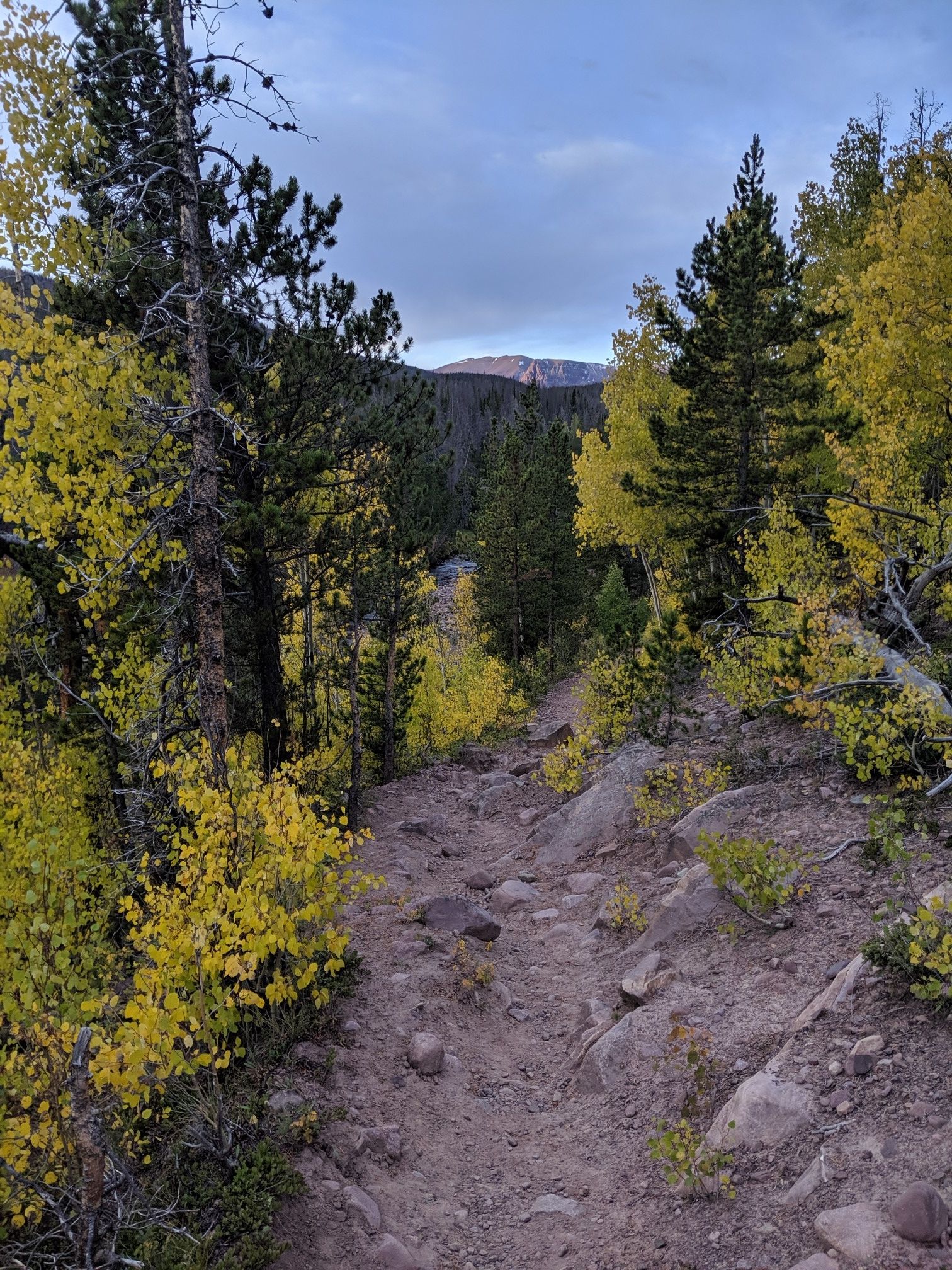 A dirt trail winds through a forest with vibrant autumn trees under a cloudy sky. - Alligator Lake via Henry's Fork Trail