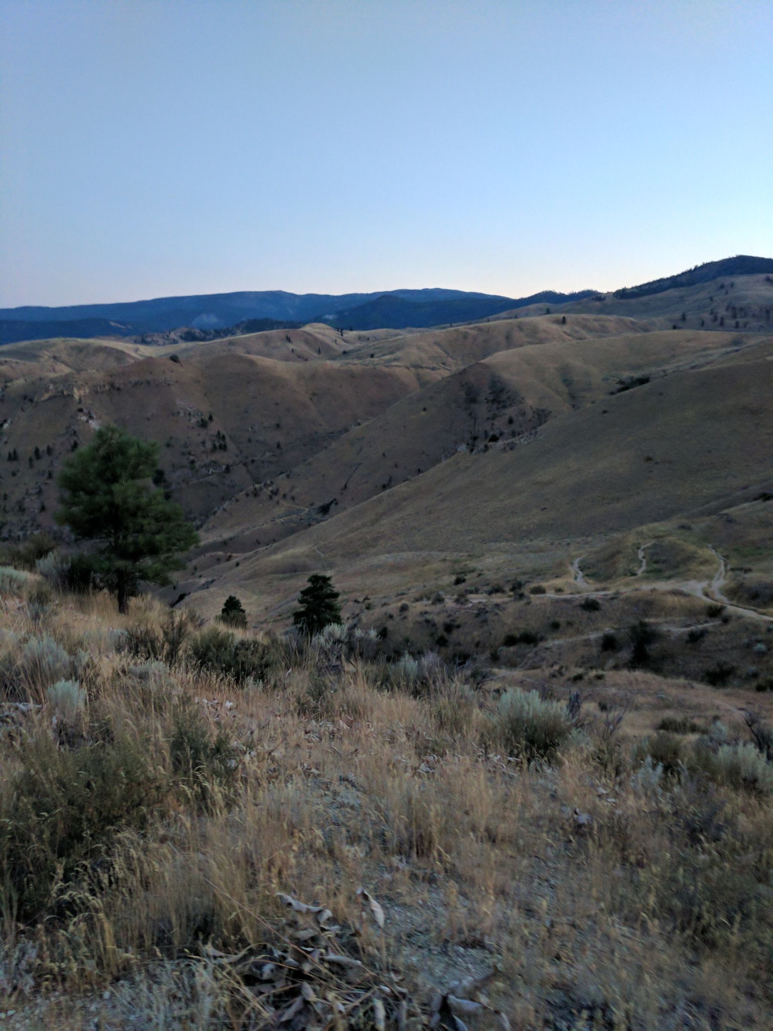 Rolling, dry hills and scattered trees under a soft, muted sky at dusk. - Saddle Rock Main Trail – Saddle Rock Natural Area loop from Saddle Rock Natural Area