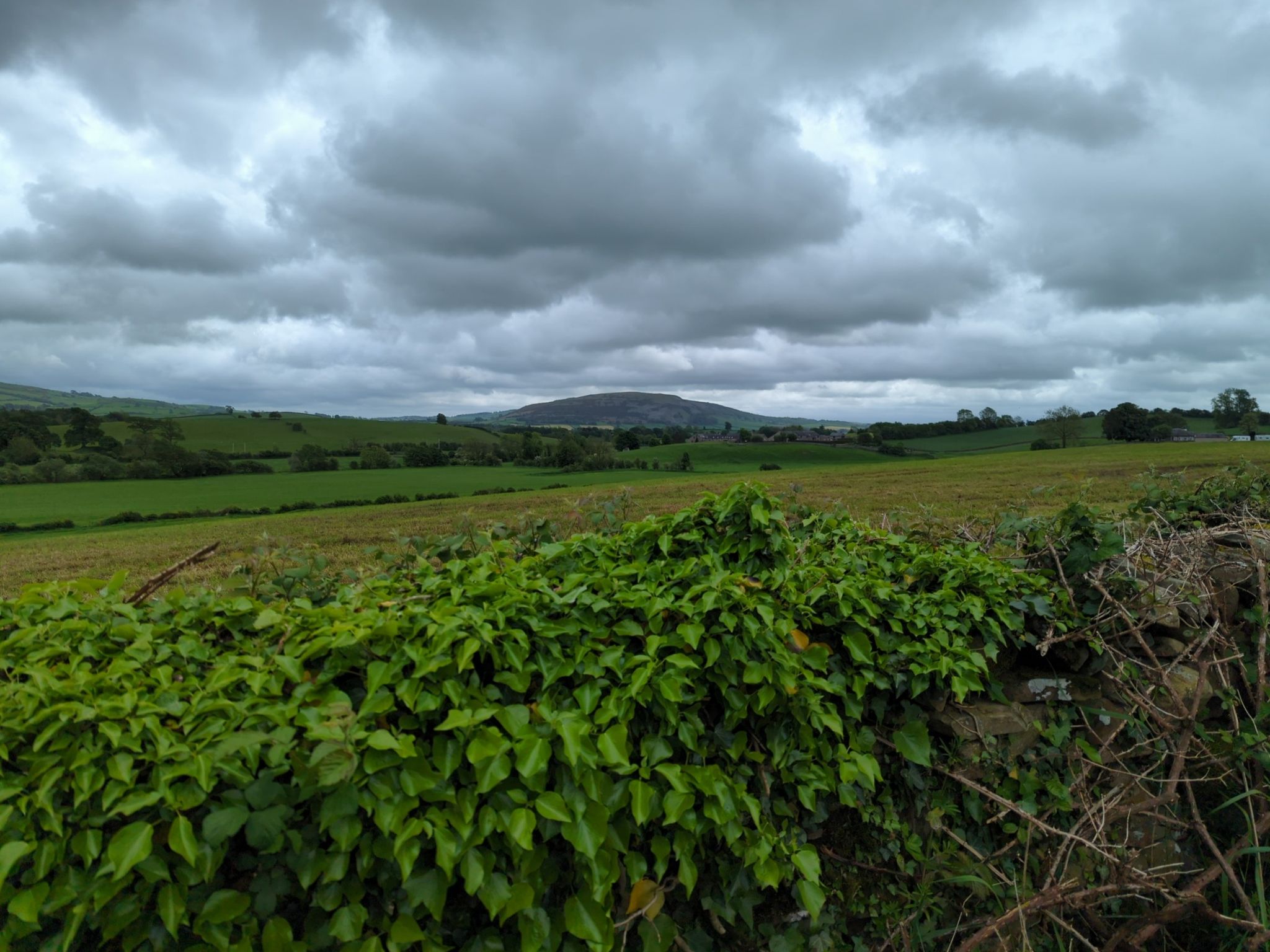 near Viver Farm