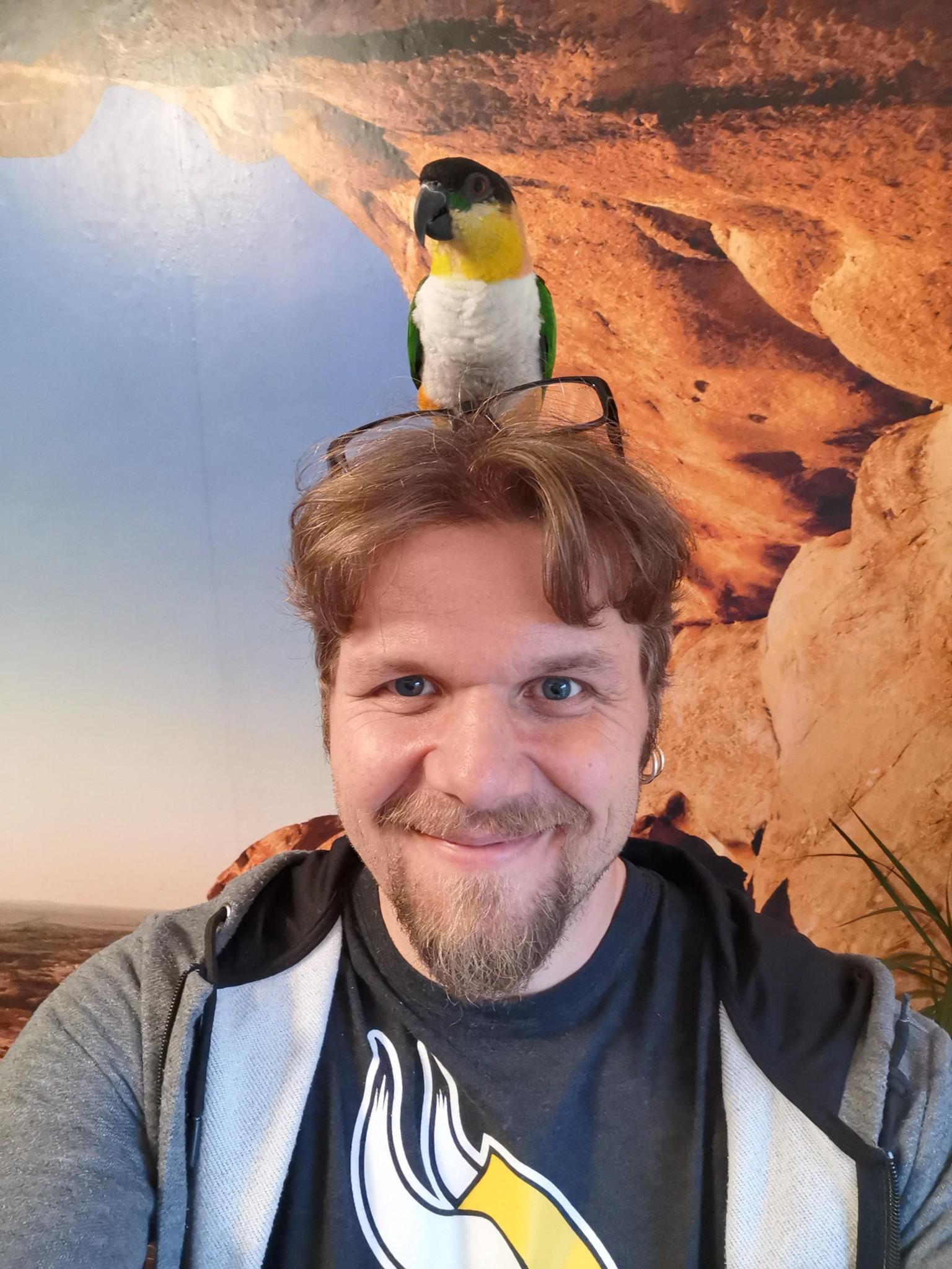 user avatar
