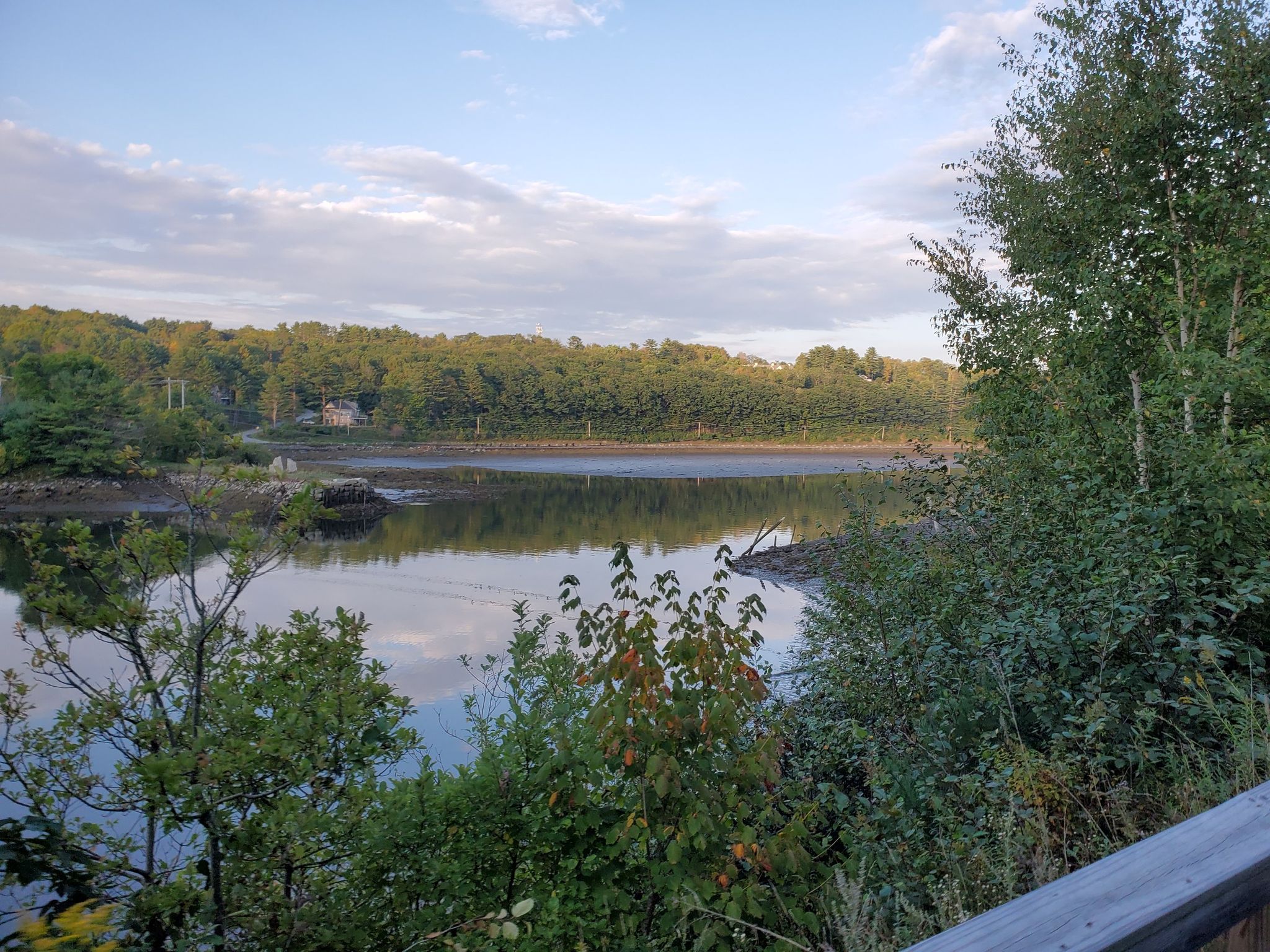 View of a calm lake surrounded by dense green trees under a cloudy sky. - Memorial Bridge, Belfast – Moose Point State Park loop from Searsport