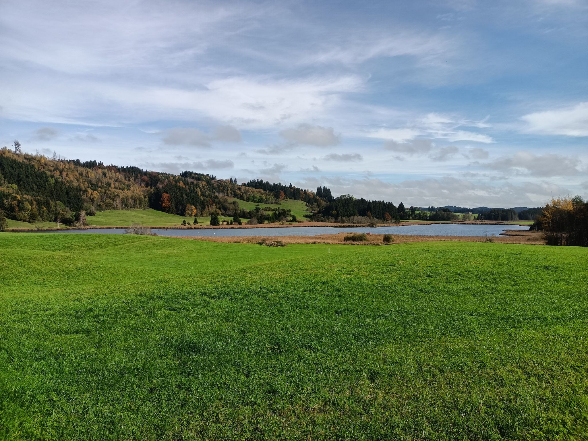 Schwarzenberger Weiher
