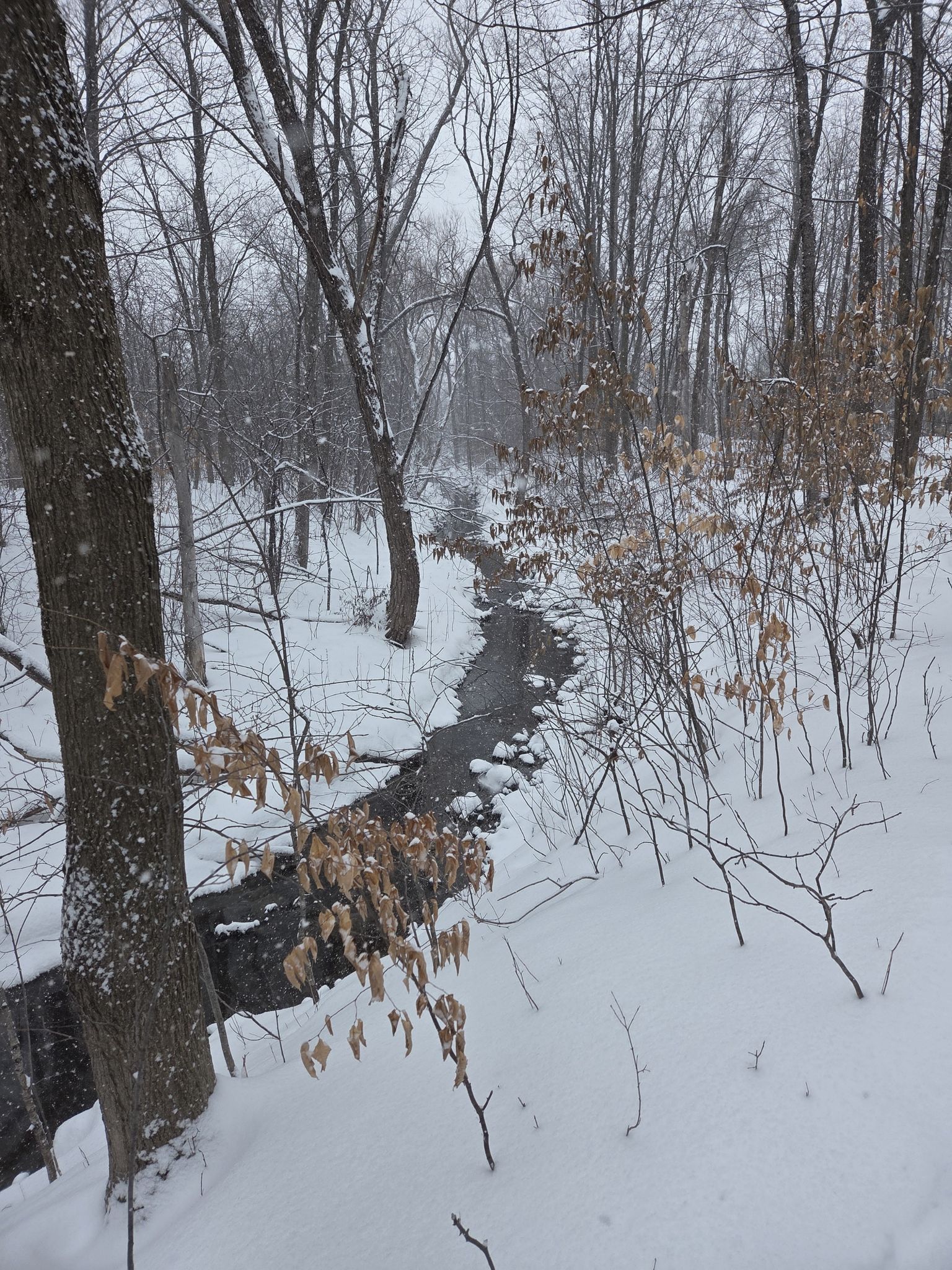 petit ruisseau