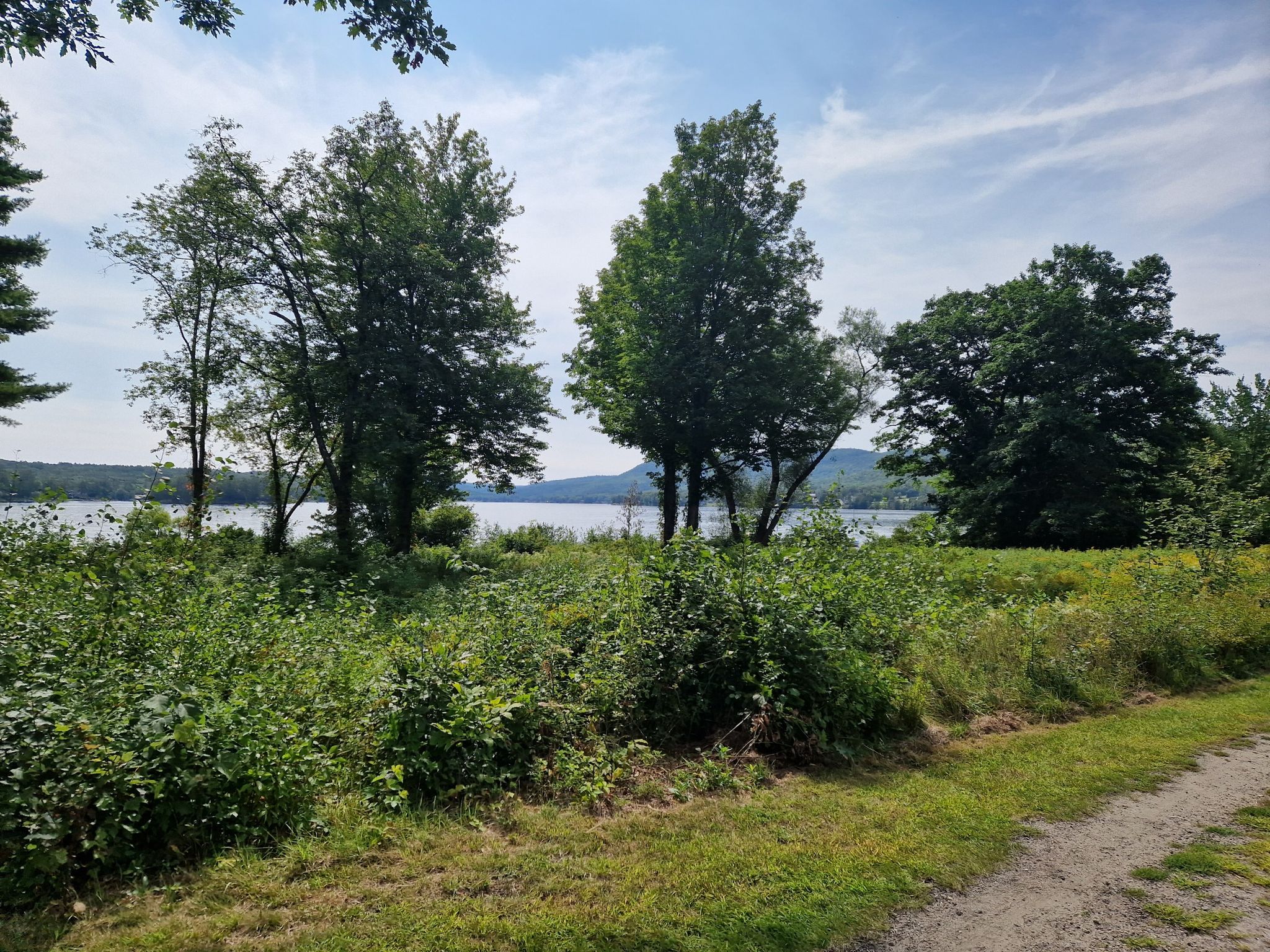 Lake visible through green trees and bushes under a bright blue sky. - Mascoma Lake running loop from Enfield
