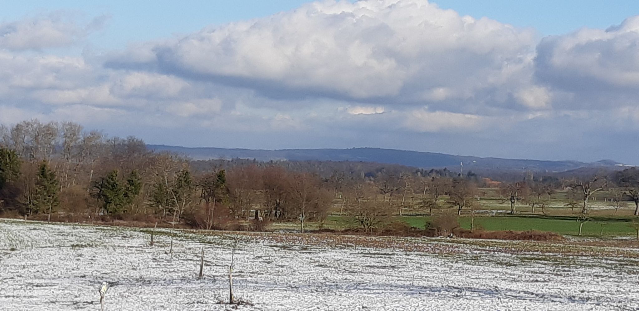 Ausblick auf Keltern und Pforzheimer Wallberg