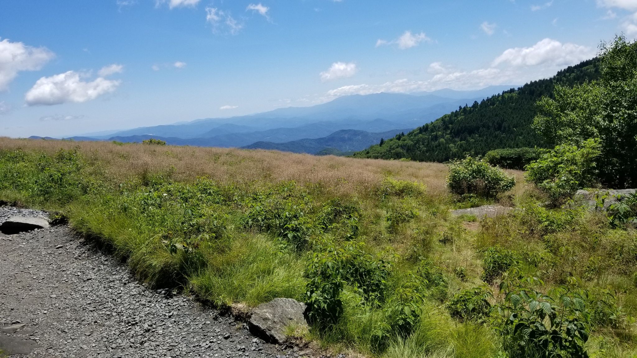 Sunny mountain landscape with a grassy field, distant peaks, and a gravel path. - Grassy Ridge Bald via Appalachian Trail