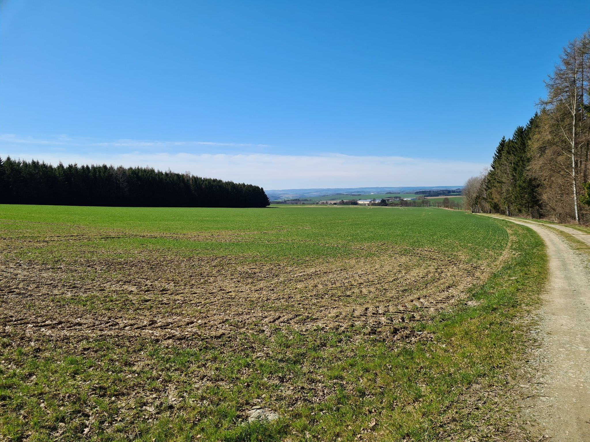 Blick nach Willitzgrün und Oelsnitz