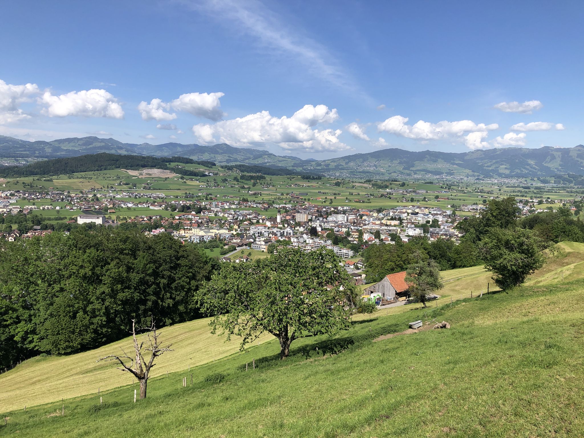 Siebnen