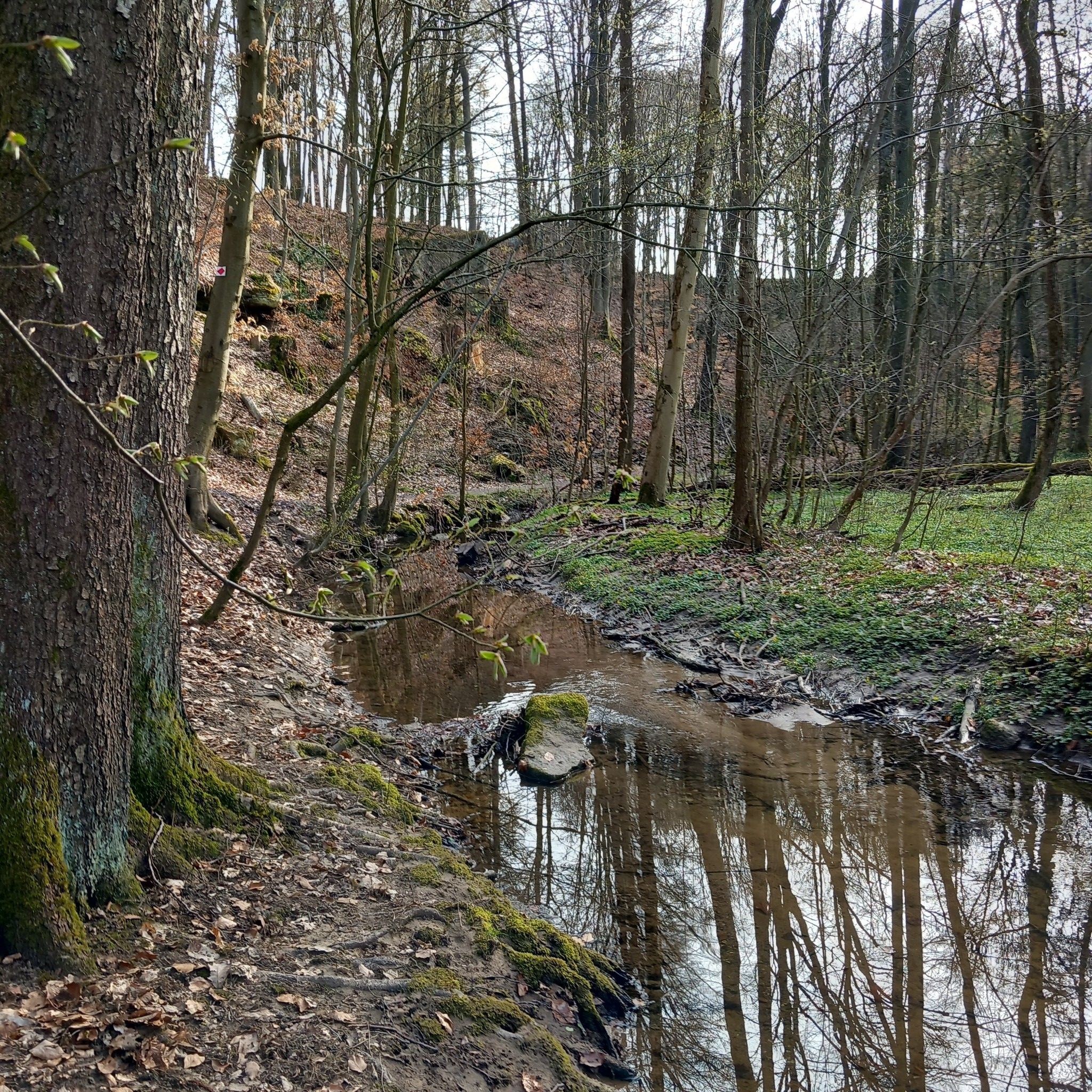 Wanderweg