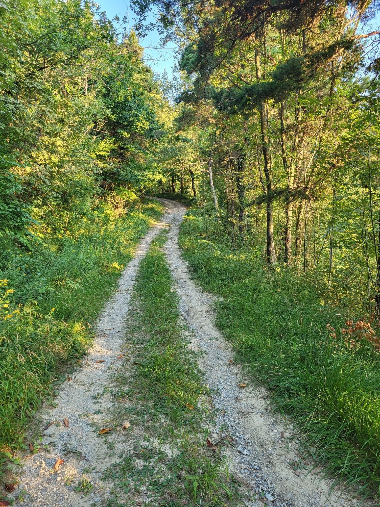 early in the trail