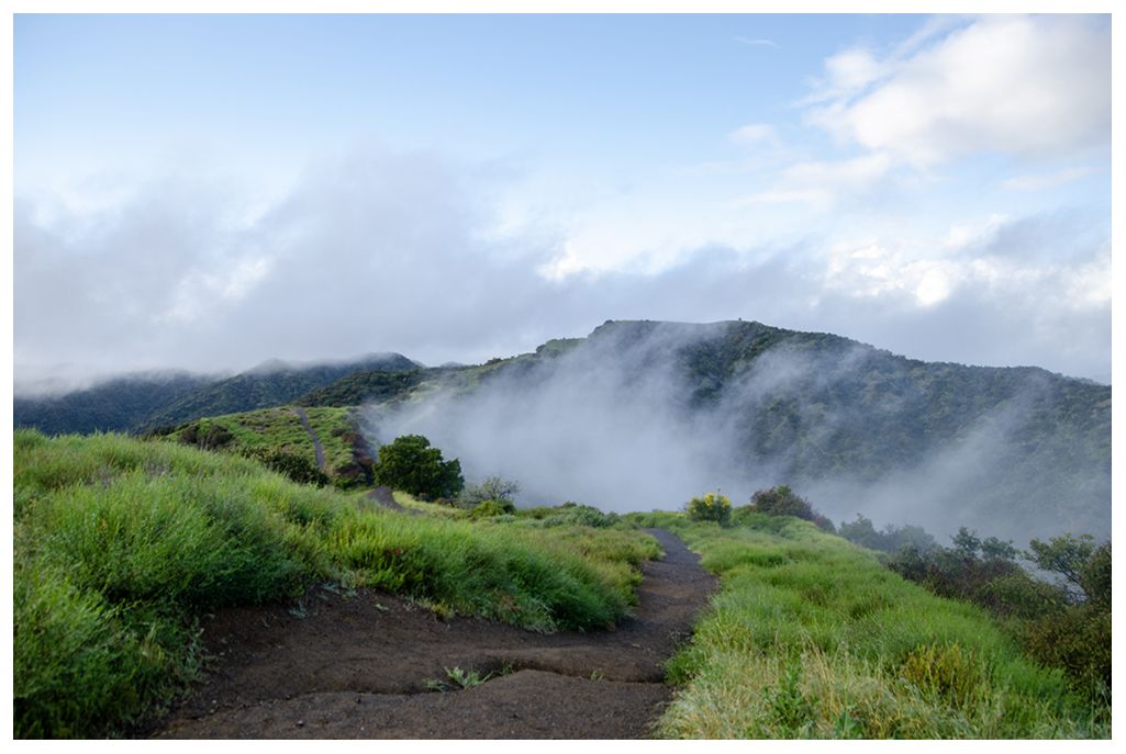 Winding dirt path through lush green hills with mist rolling over peaks. - West Mandeville Ridge Trail Loop