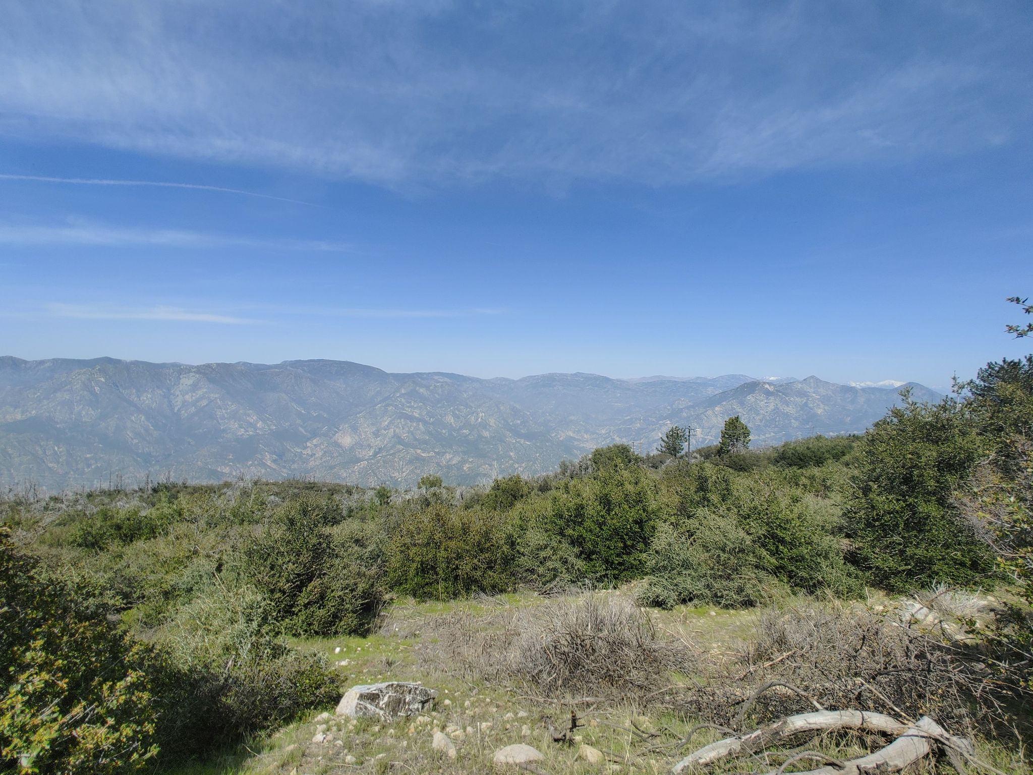 Green and brown scrub brush in foreground, distant mountains under blue sky. - Pasadena Historic City Hall – View from Mount Lukens loop from Memorial Park