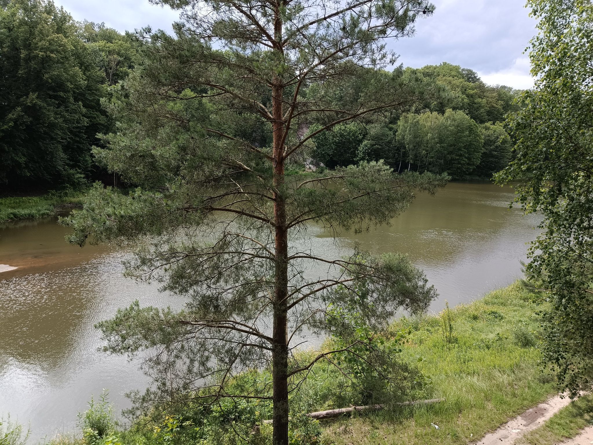 wieża widokowa