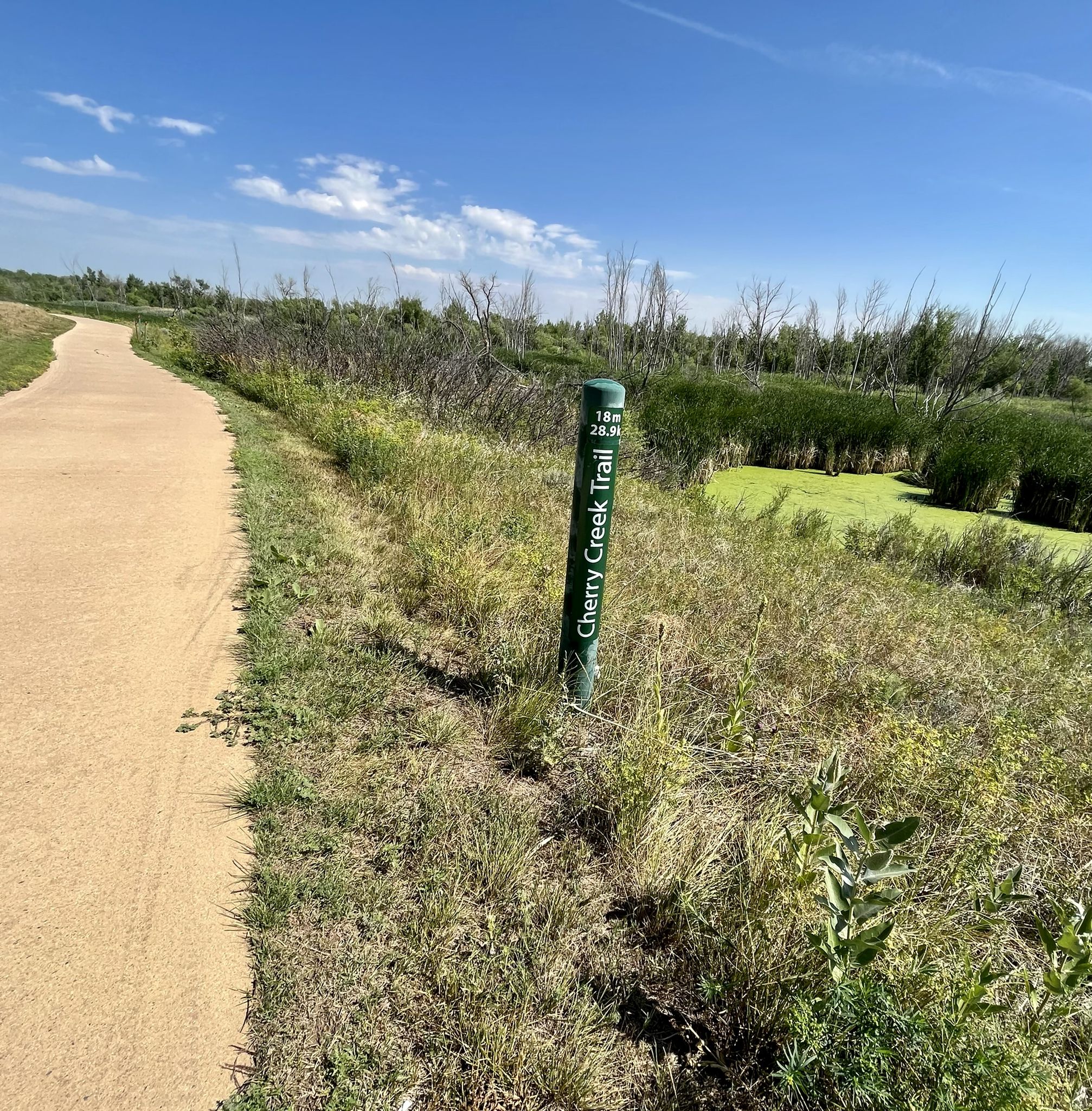 A paved trail beside a green marker, marsh, and distant trees. - Cherry Creek Park – View of Cherry Creek Reservoir loop from 2nd Avenue & Abilene