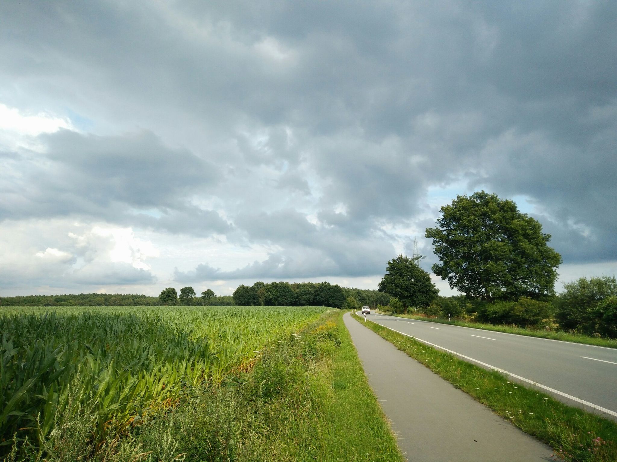 Regen und Sonne geben sich heute die Klinke in die Hand 