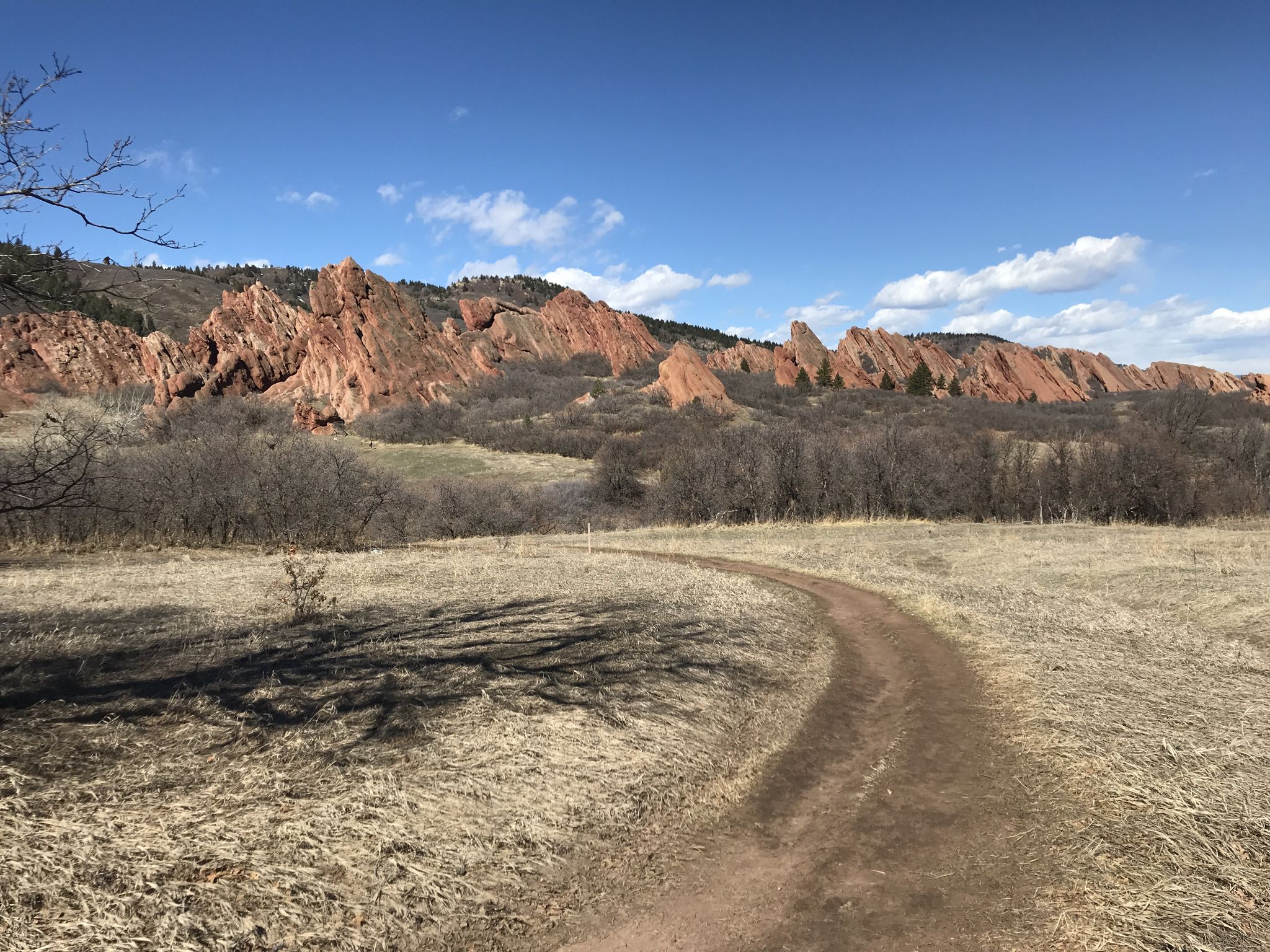 A winding dirt path through dry grass with red rock formations in the distance. - South Rim and Willow Creek Loop