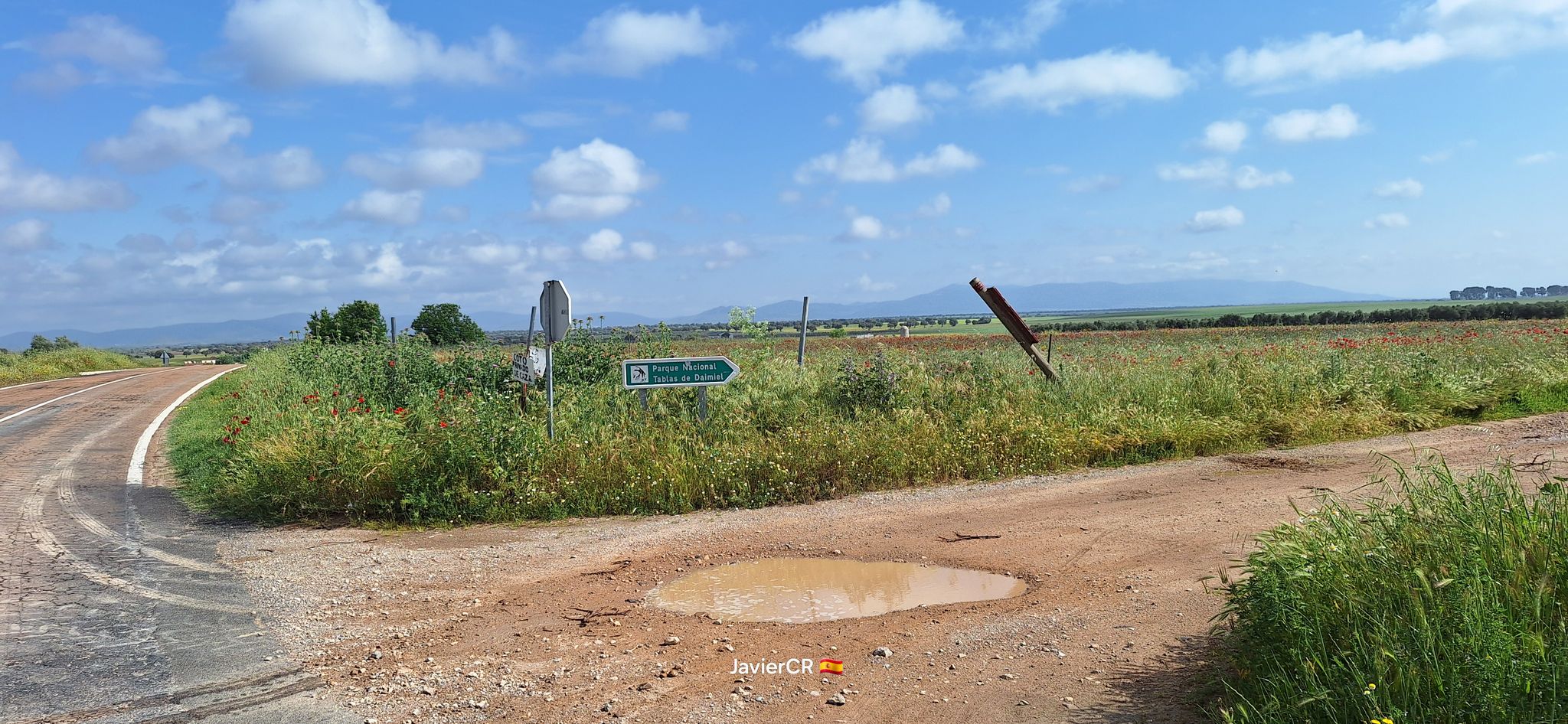 Cruce PR2121 camino Molemocho