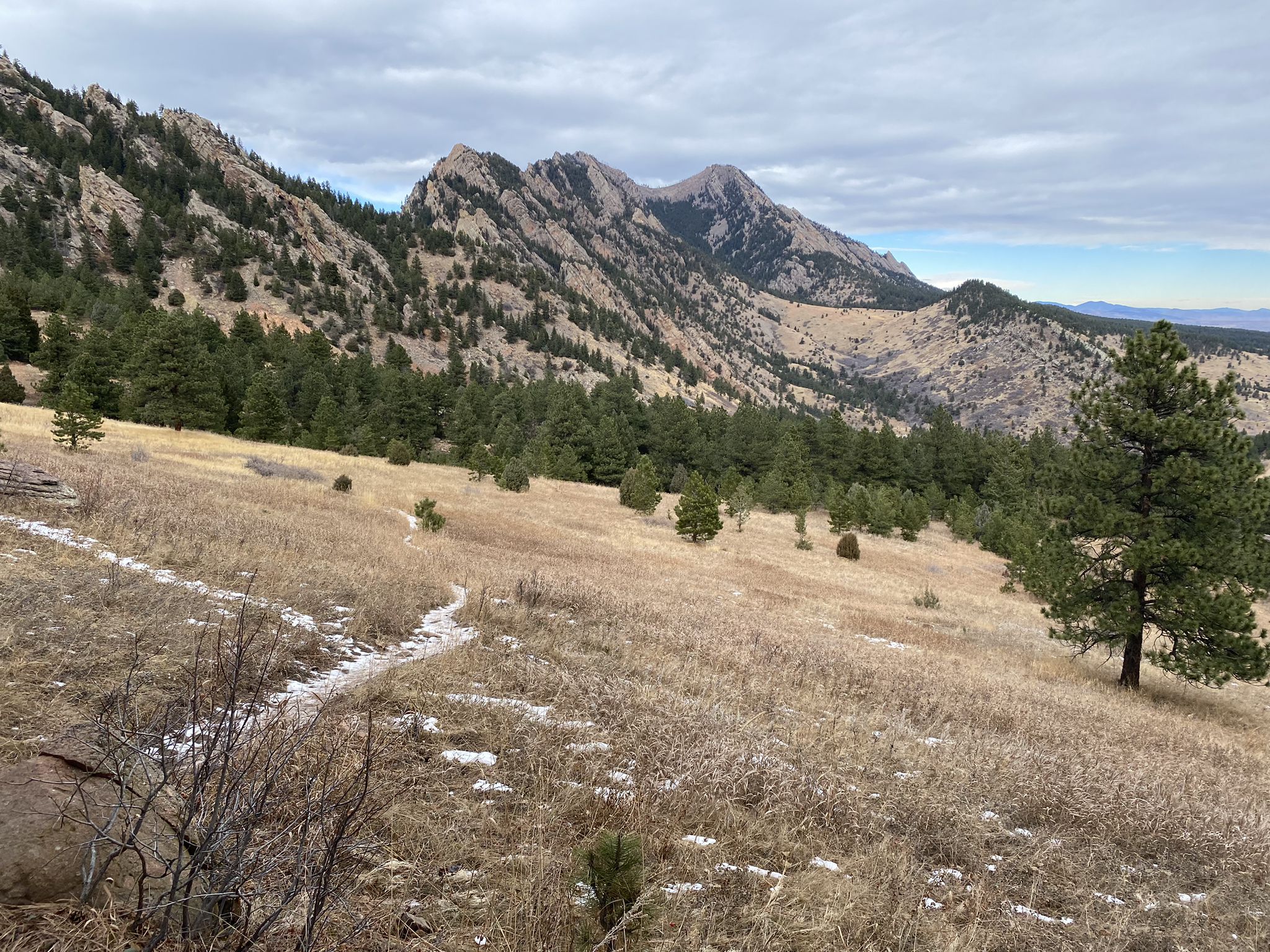 Mountain landscape with dry grass, scattered pines, and a cloudy sky. - Fowler, Goshawk Ridge, and Spring Brook North Loop