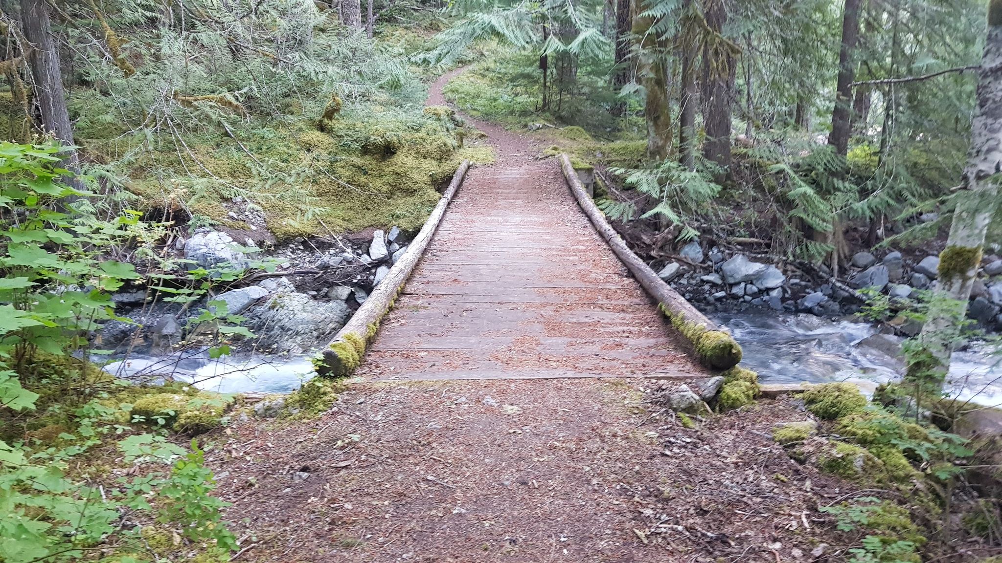 A wooden footbridge crosses a rocky stream on a forest path. - Devils Dome Loop