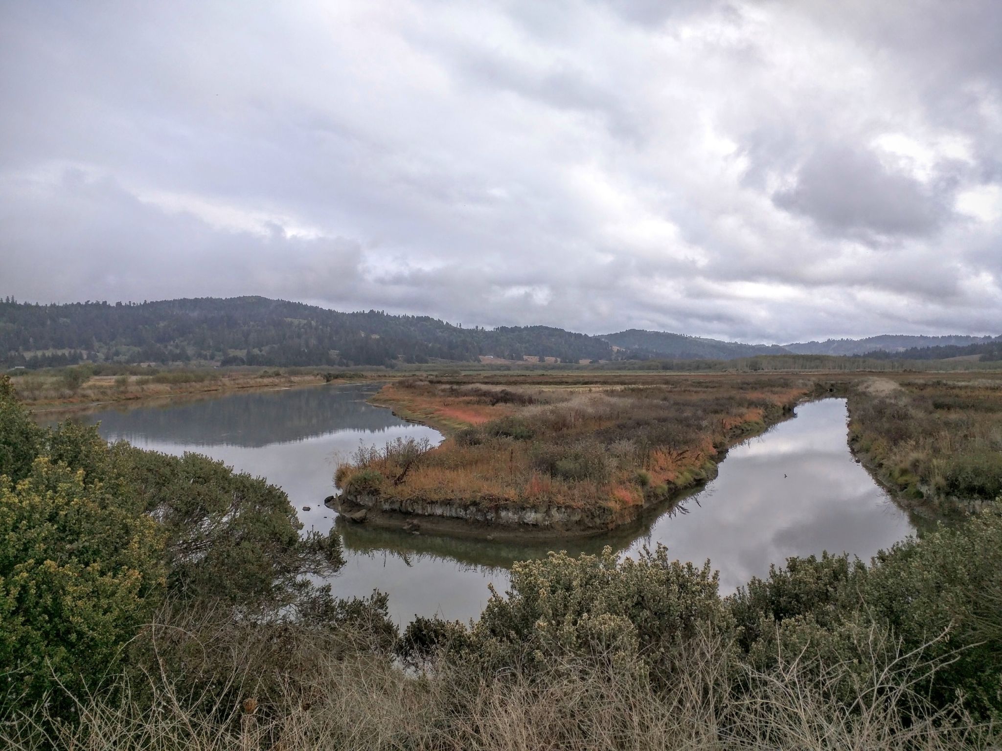 Overcast view of a winding river through marshland with distant forested hills. - Shorebird Loop Trail
