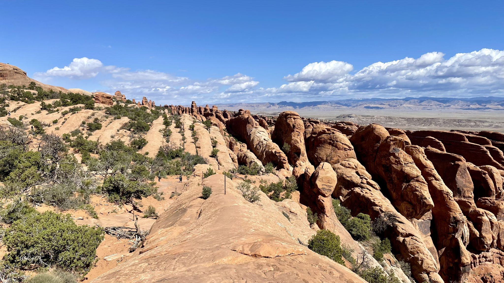 Panoramic view of red rock formations and desert shrubs under a blue sky. - Devils Garden Primitive Trail Loop