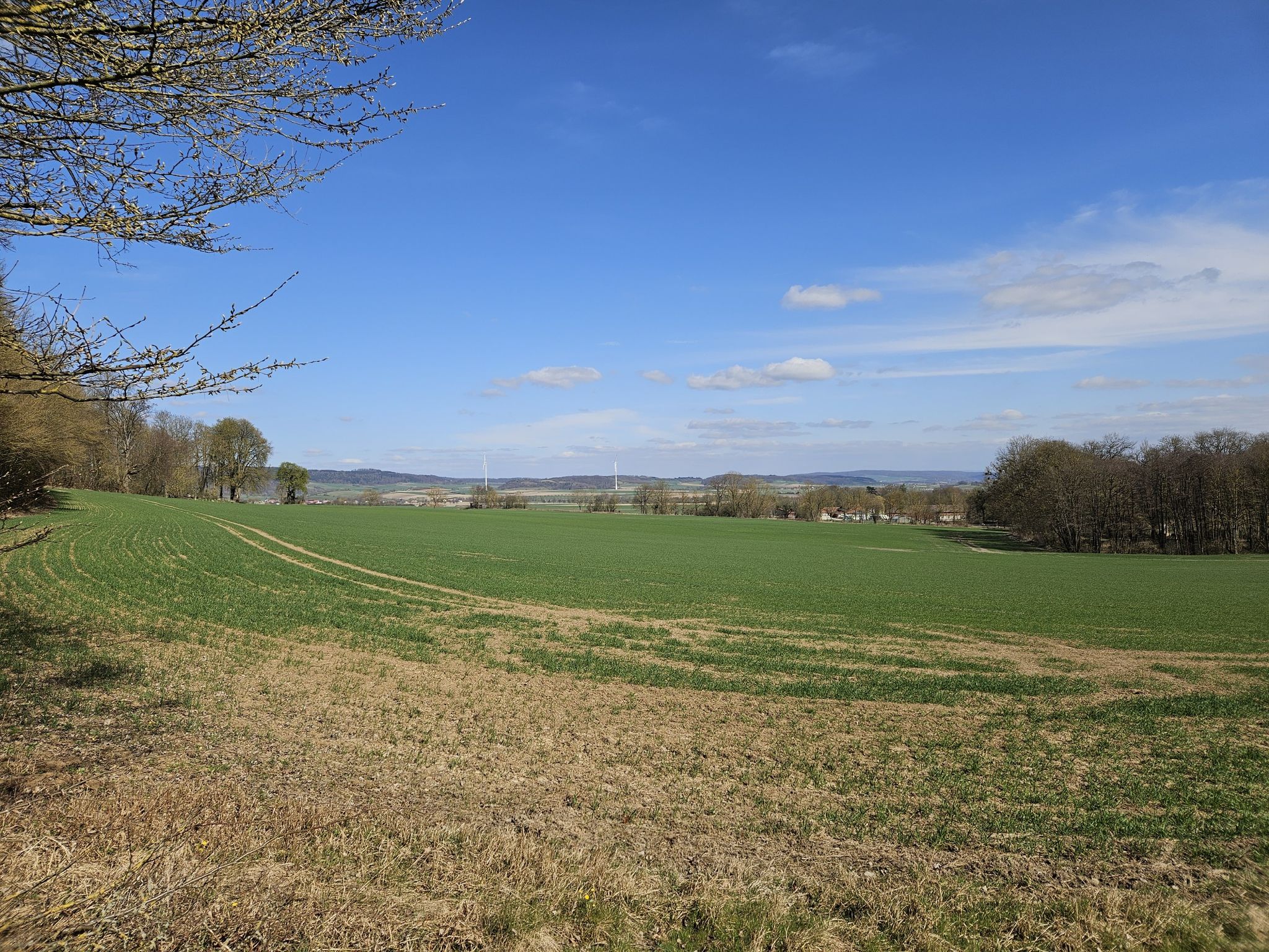 Gestüt