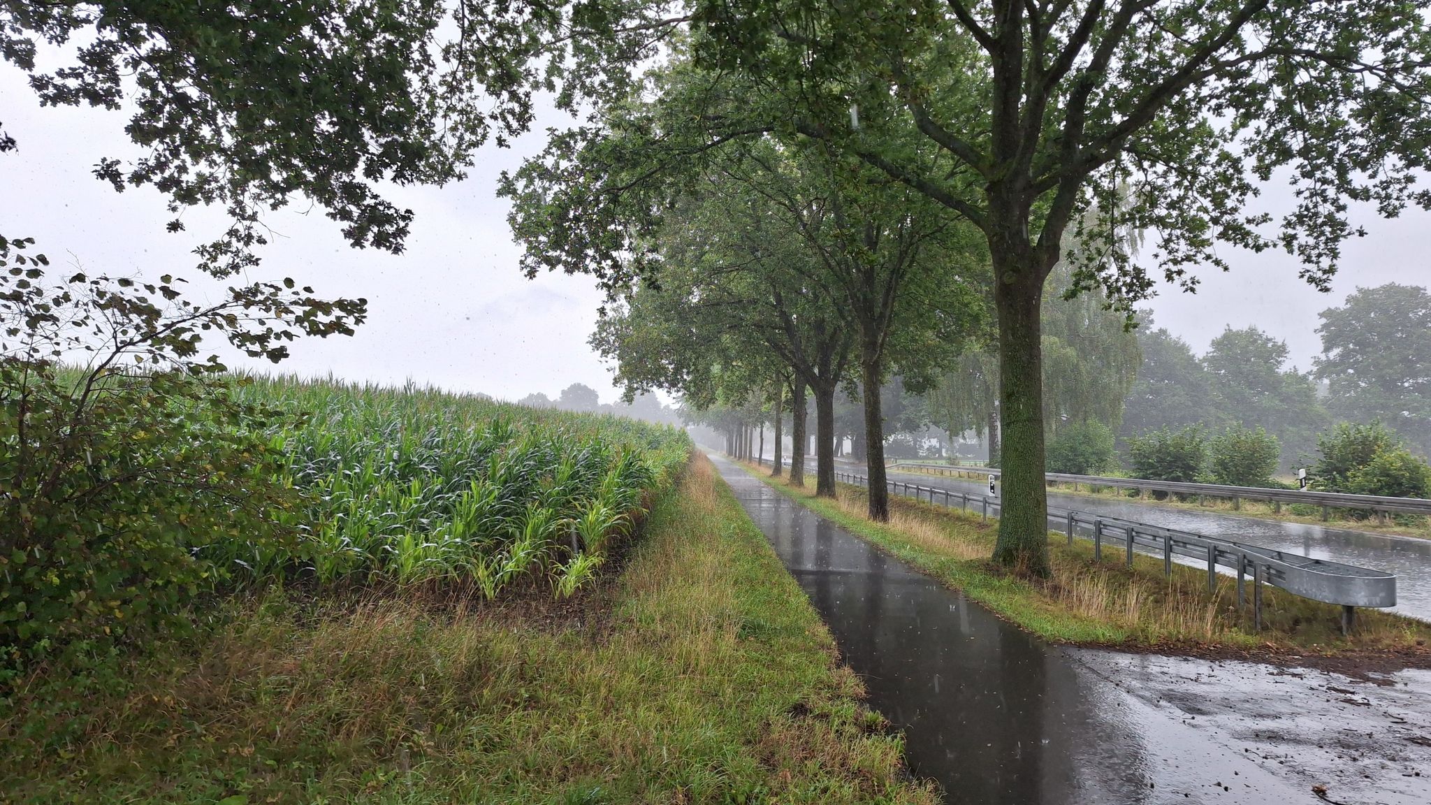 Regen, Regen, Regen...