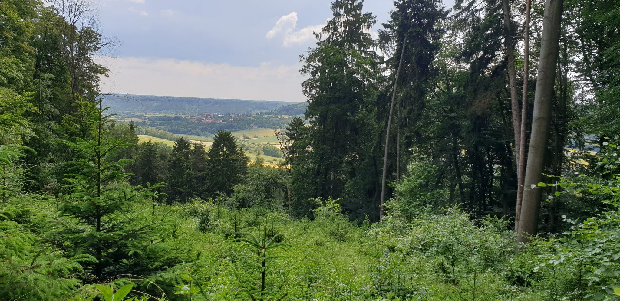 So machen auch Umleitungen Spaß