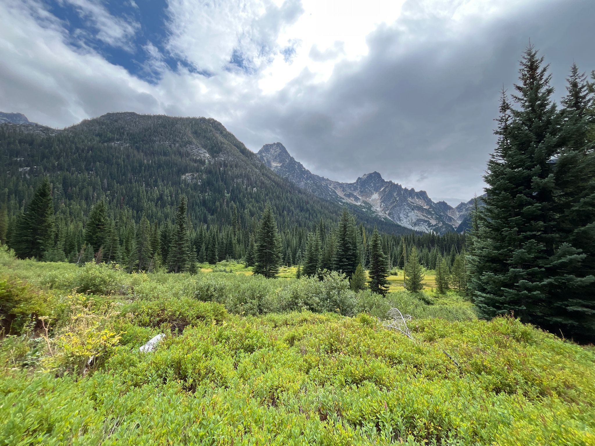 Lush green meadow, dense pine forest, and rugged mountains under a cloudy sky. - Stuart Lake Trail