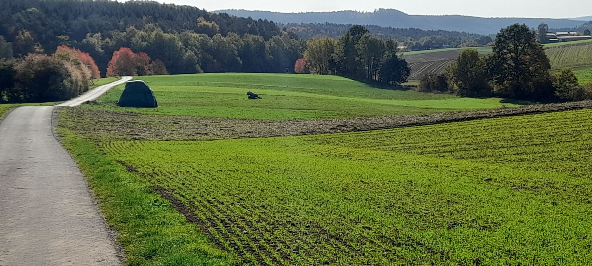 Schöner Ausblick
