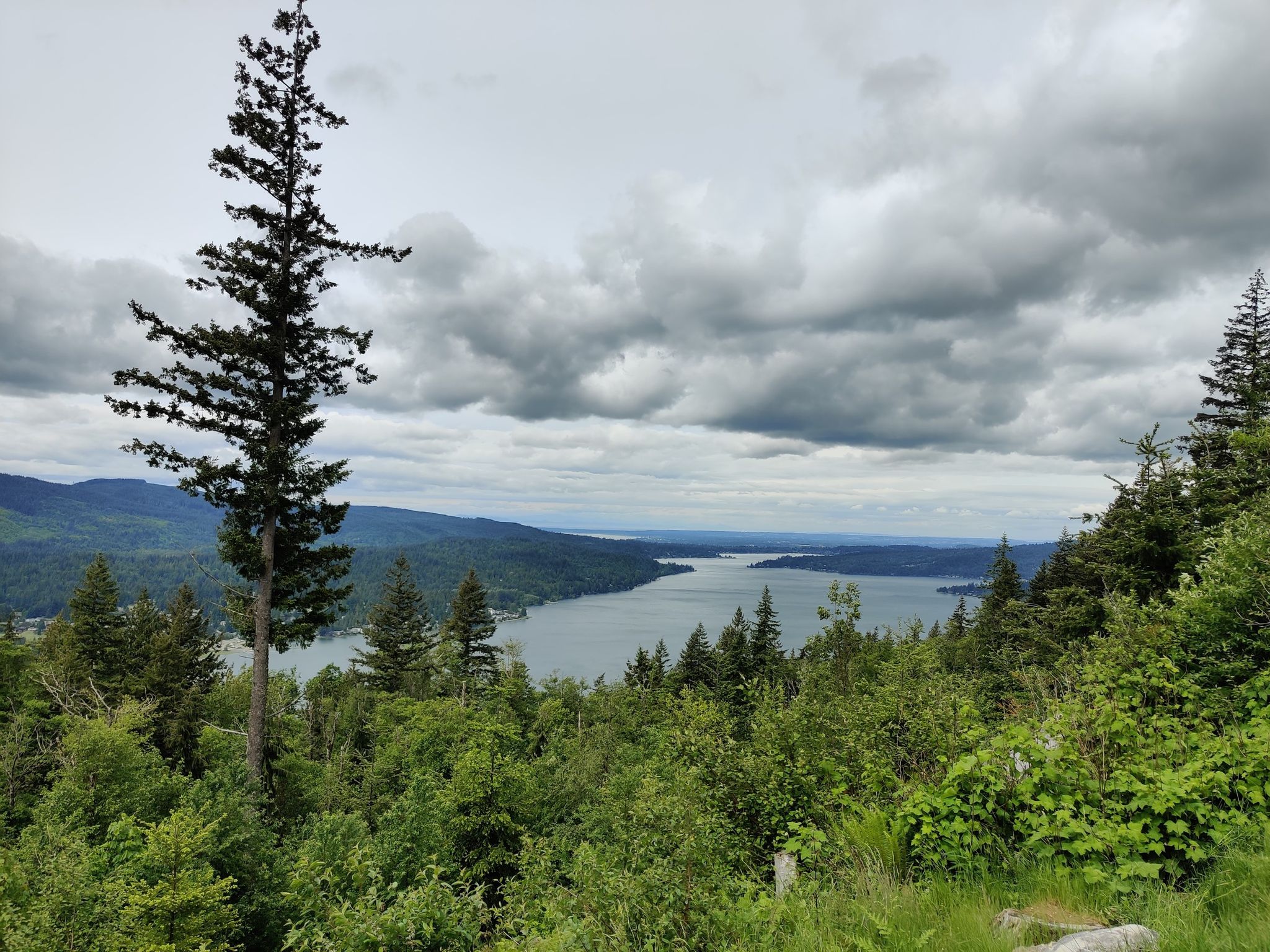 Overlook of a large lake and forested mountains under a cloudy sky. - View of Lake Whatcom – Y Road Cycling Route loop from Big Rock Park