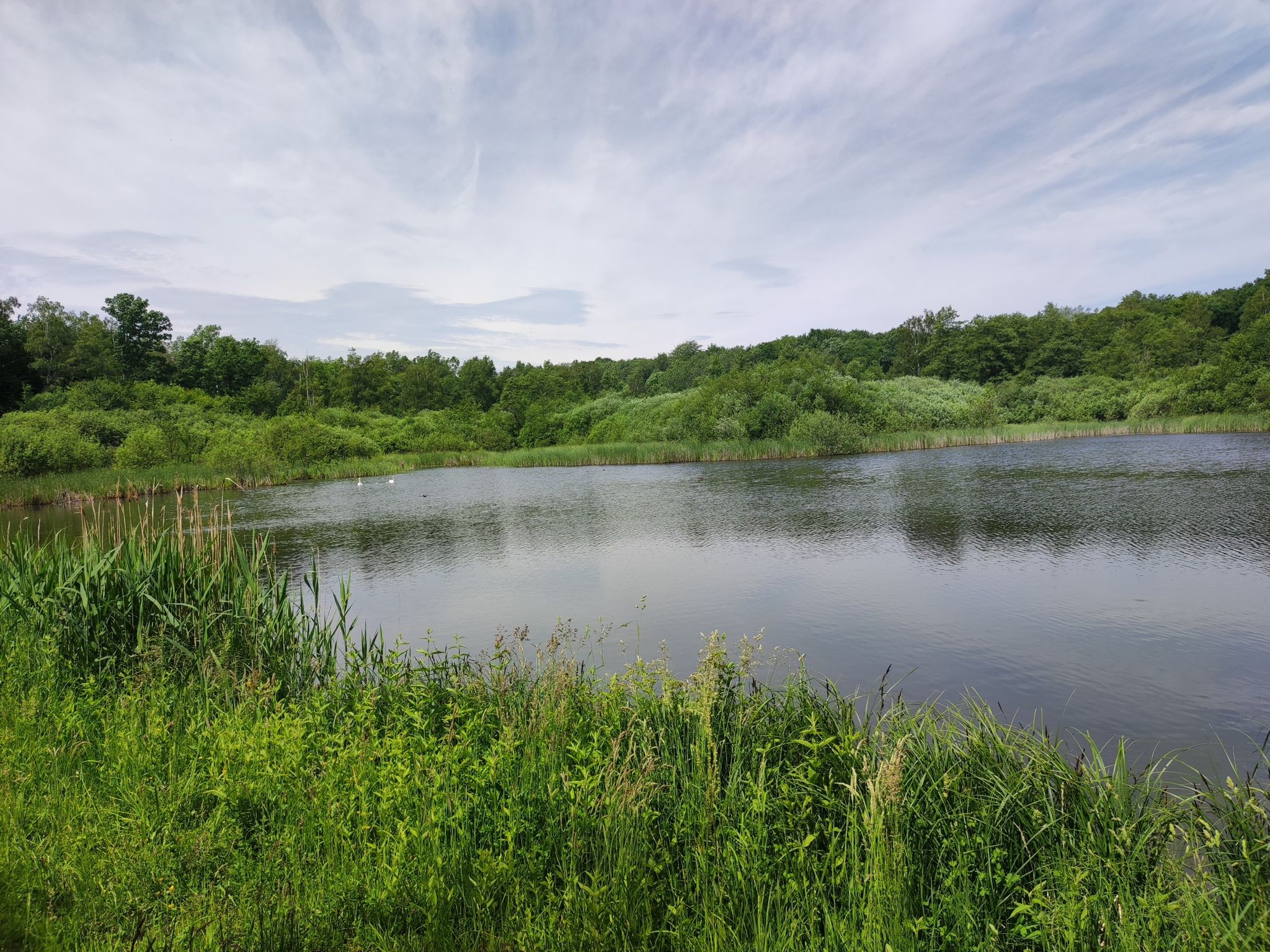 Bruns Teich