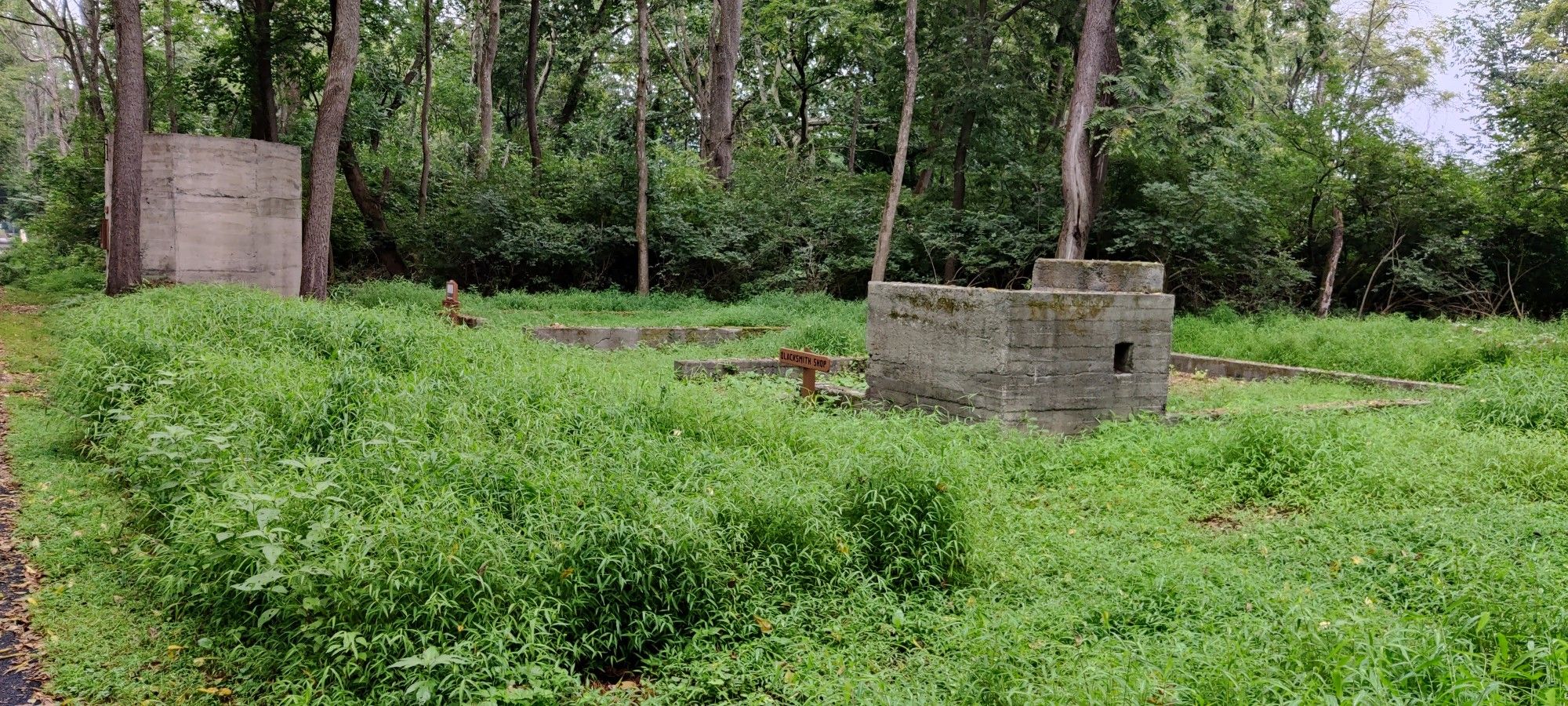 Concrete ruins stand in an overgrown field with dense forest in the background. - Running loop from Ironton