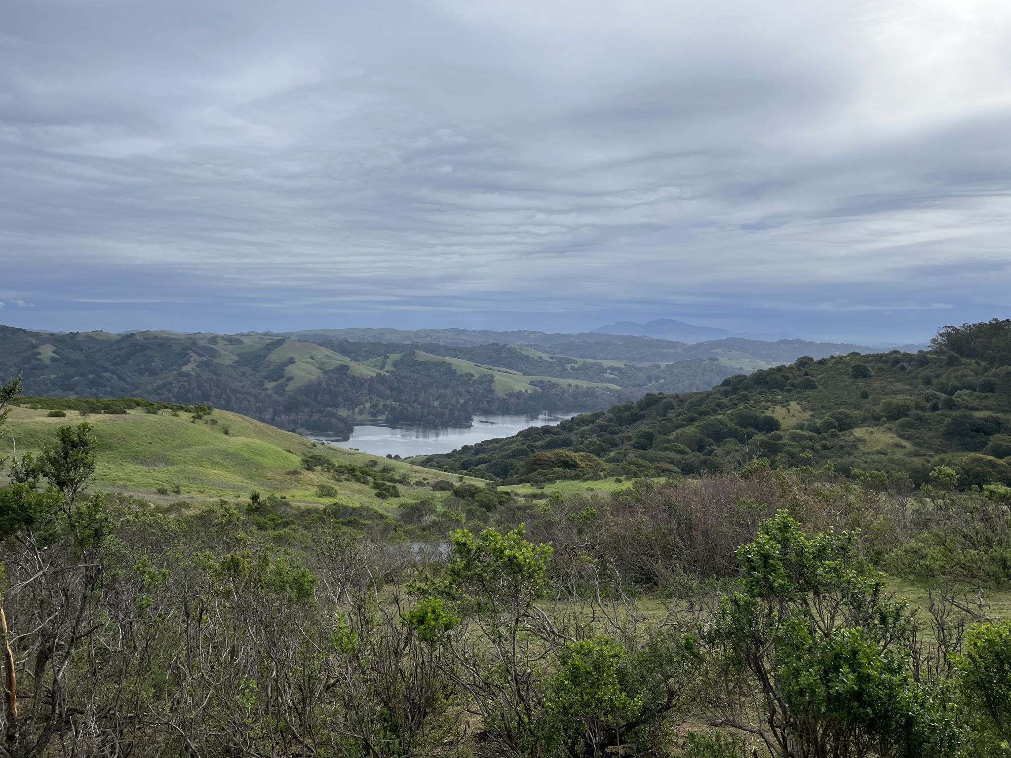 Overcast view of a lake nestled among green, rolling hills. - East Bay Skyline Loop