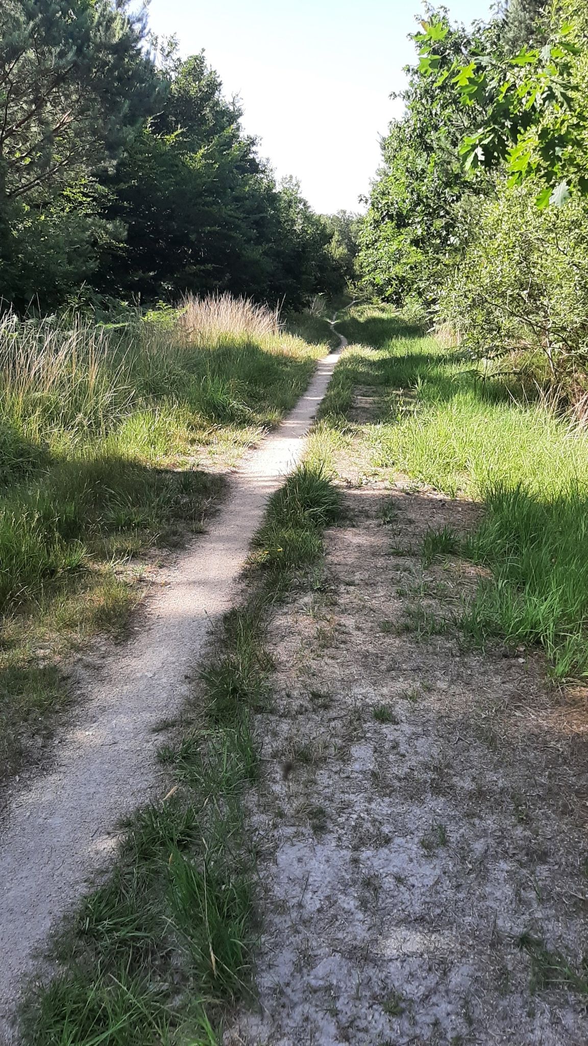tolle Pfade