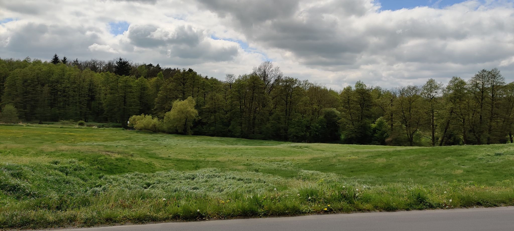 Wola Książęca
