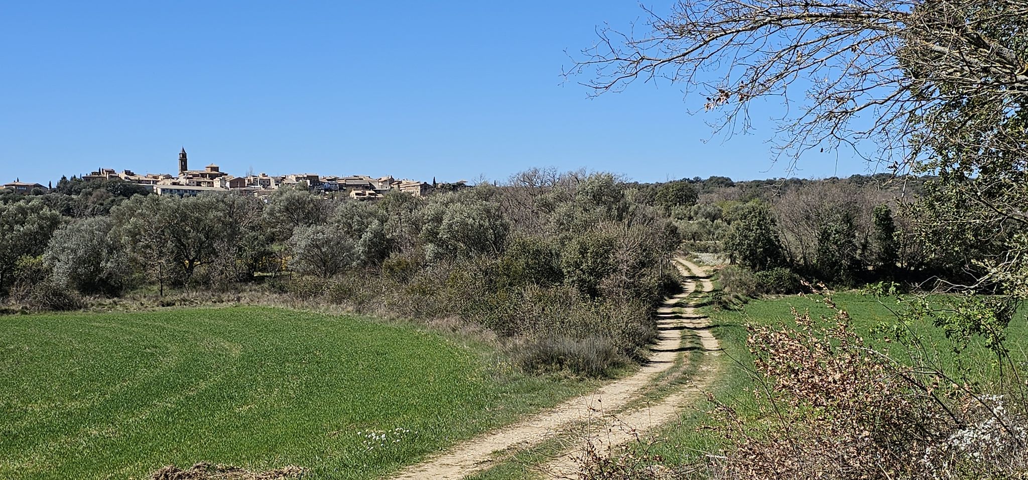 Adhuesca