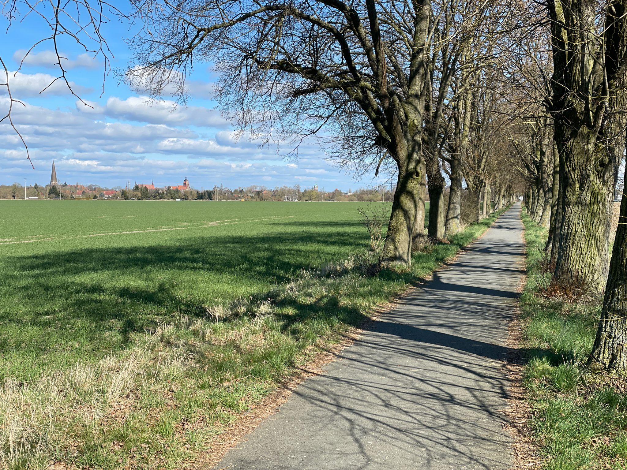 Alleenweg vom Warthekreisel nach Salzwedel