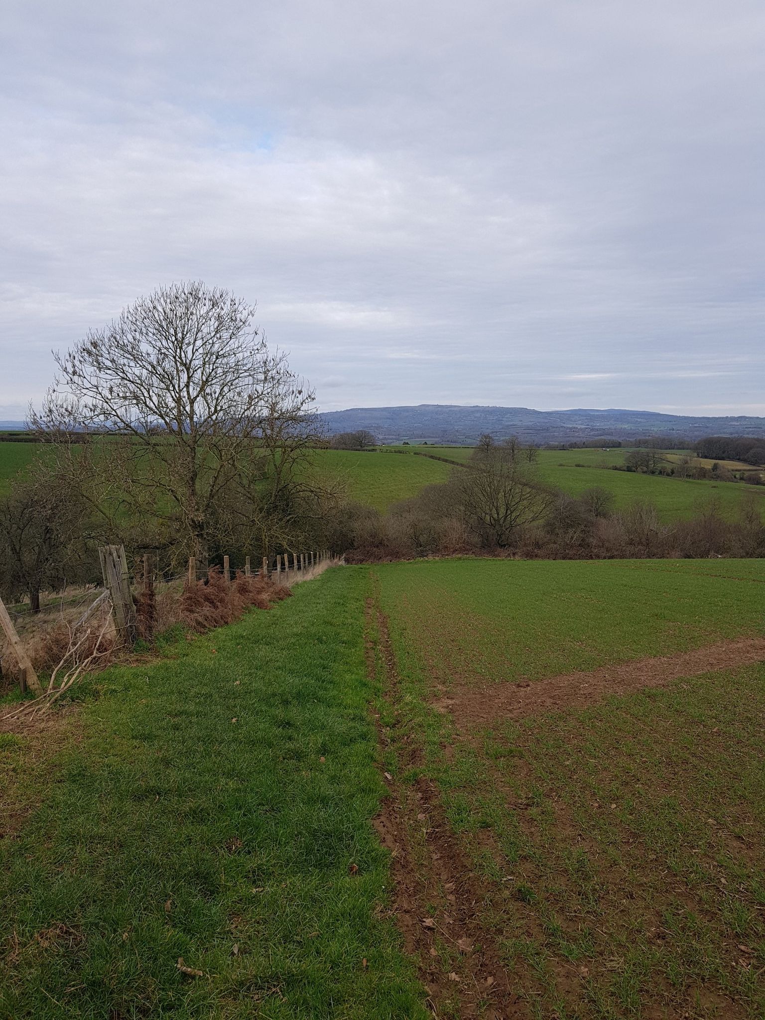 Lovely views from hear whatever time of year