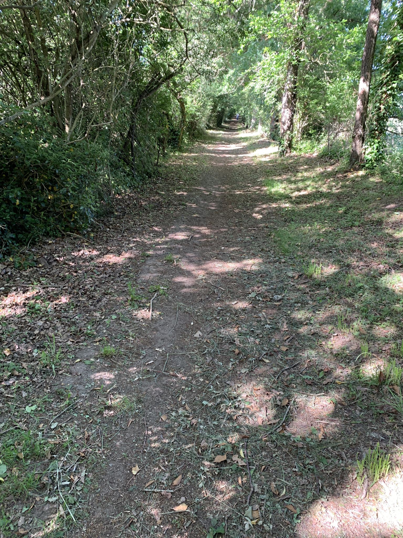 Chemin de la Motte