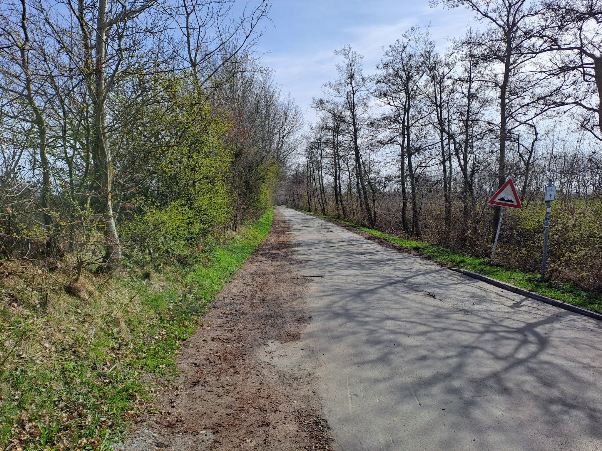 Alte Landstraße nach Hockensbüll