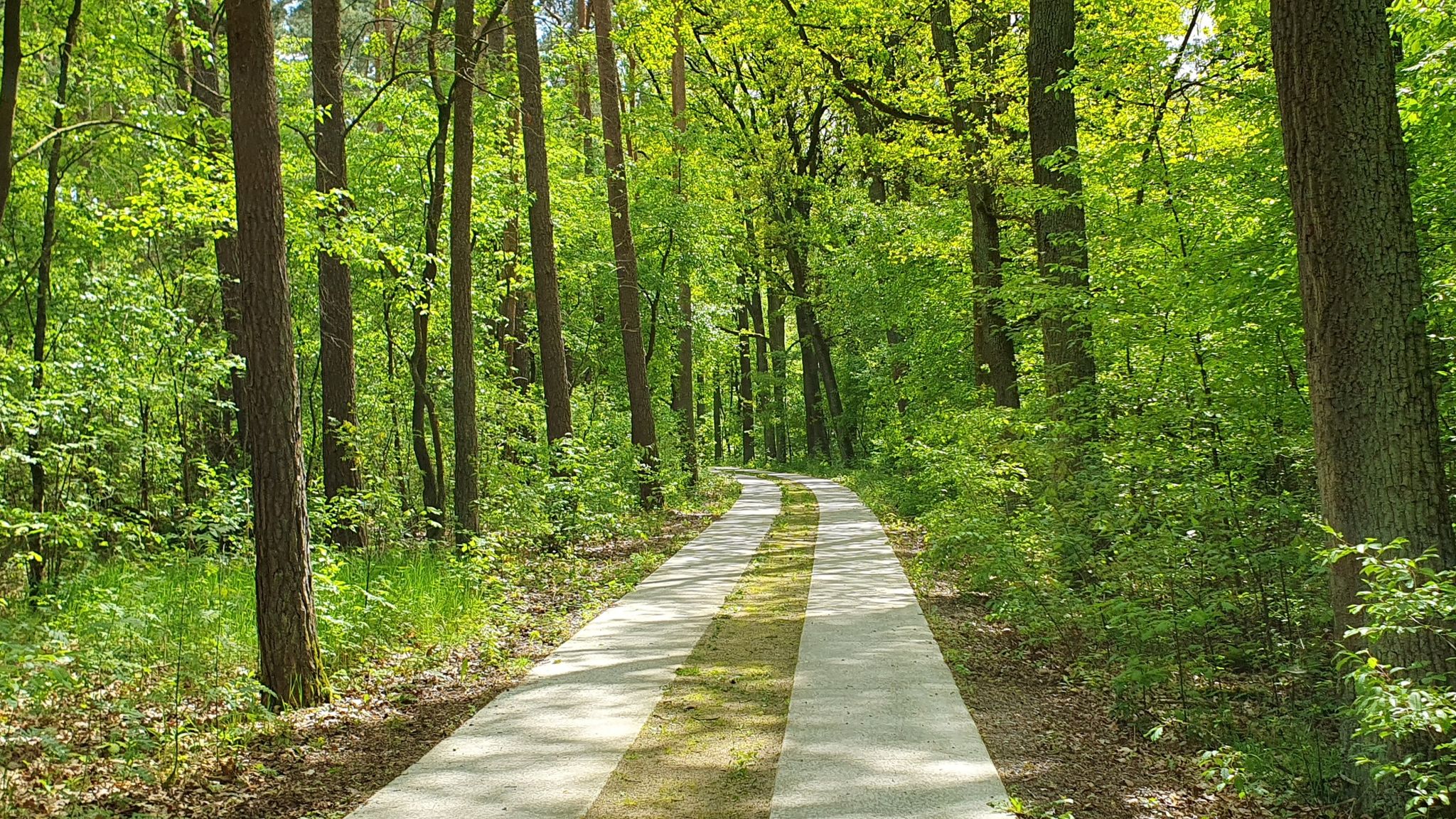 Herrmann-Löns-Weg