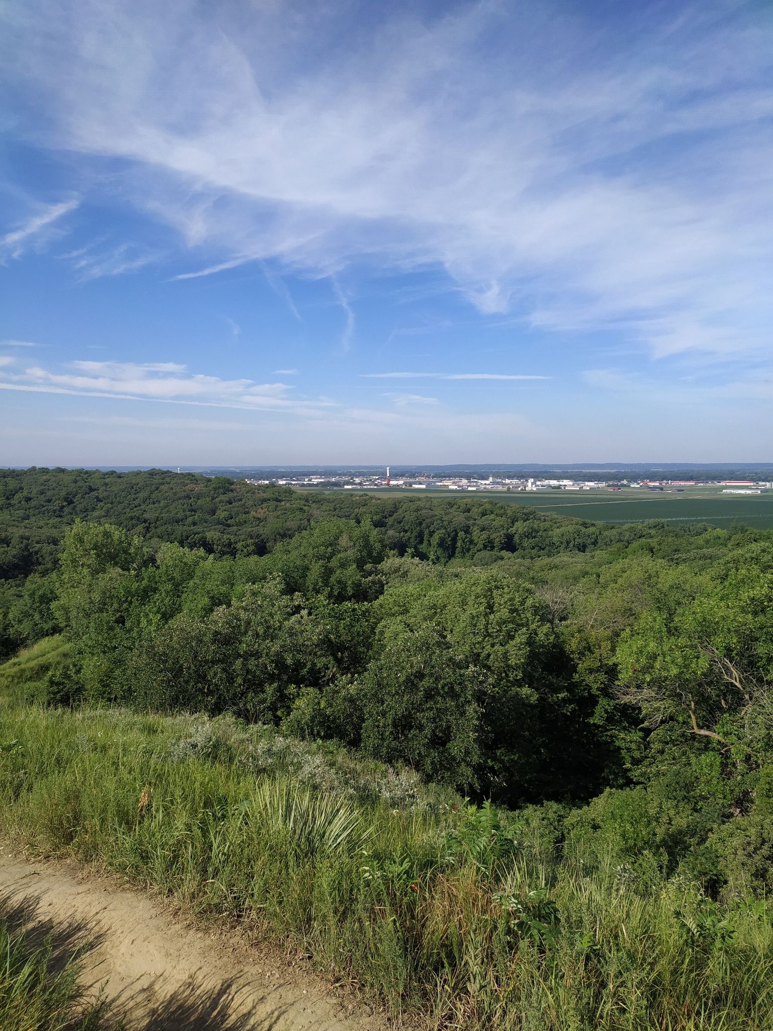 Expansive view of green forest under a bright blue sky with distant buildings. - Stone State Park Loop Trail