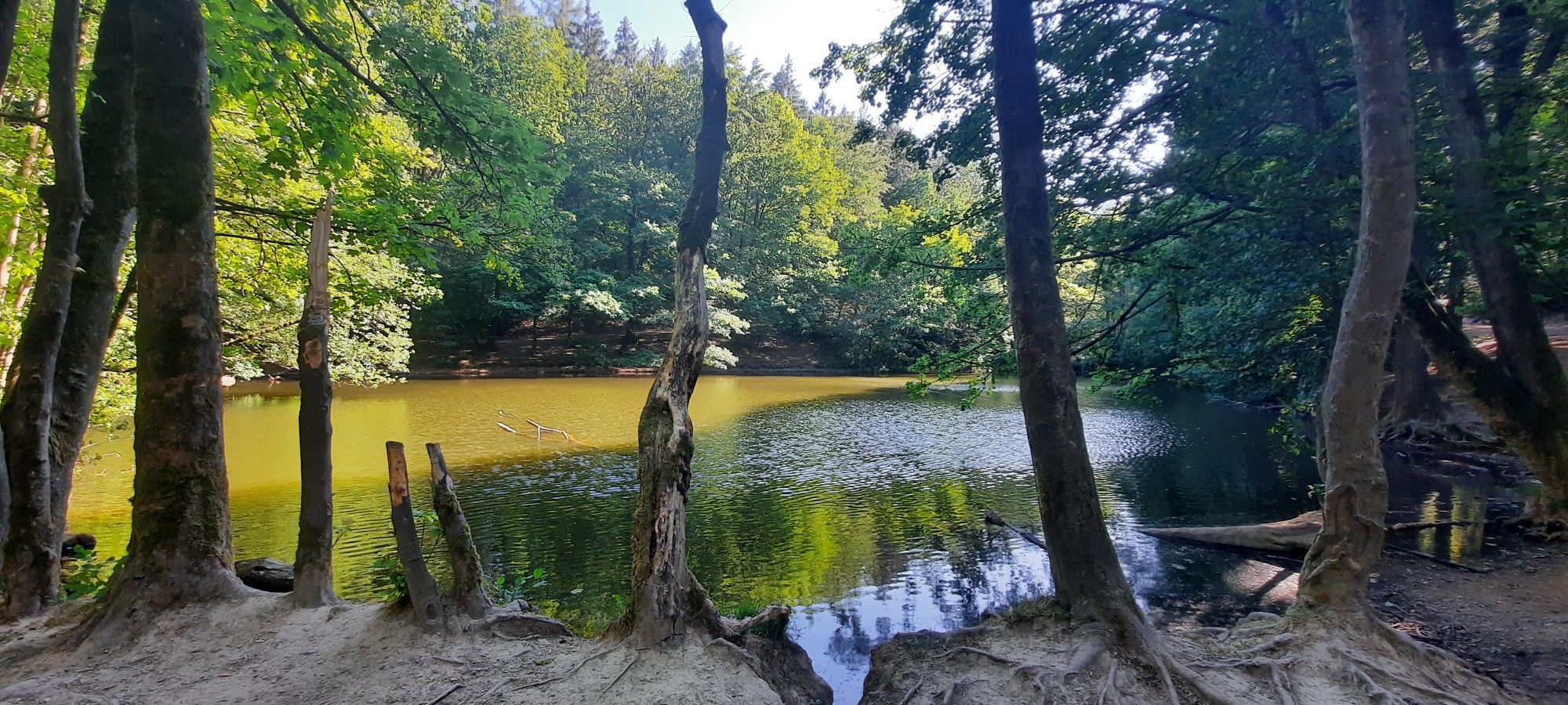Blick auf Romantischem waldsee