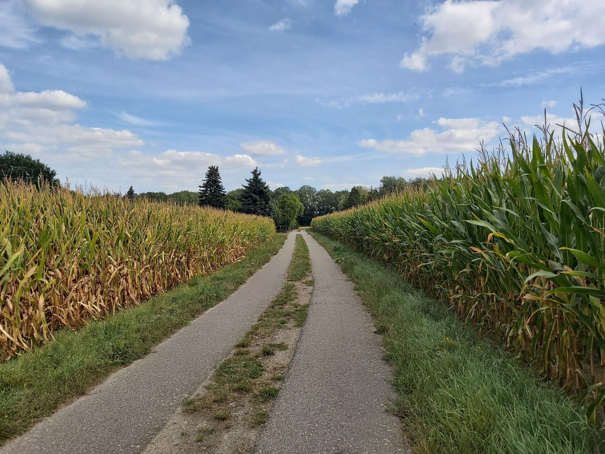 gleiche Stelle bei Tag