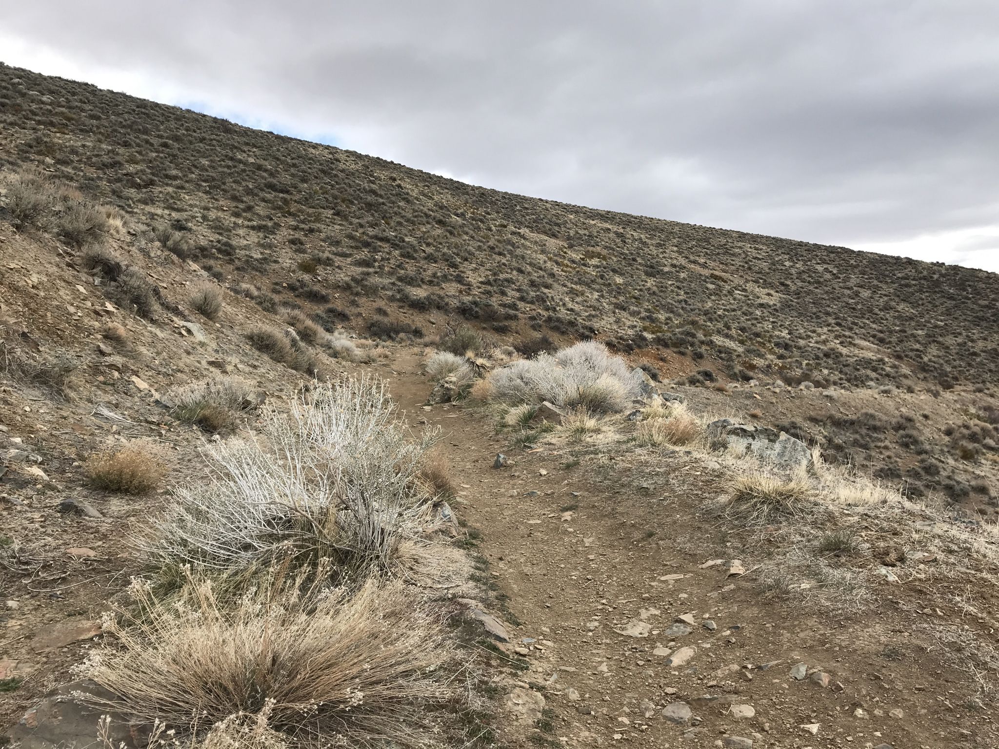 Narrow dirt path ascending a steep, arid hillside under an overcast sky. - Kings, Bacon, Halo Trail