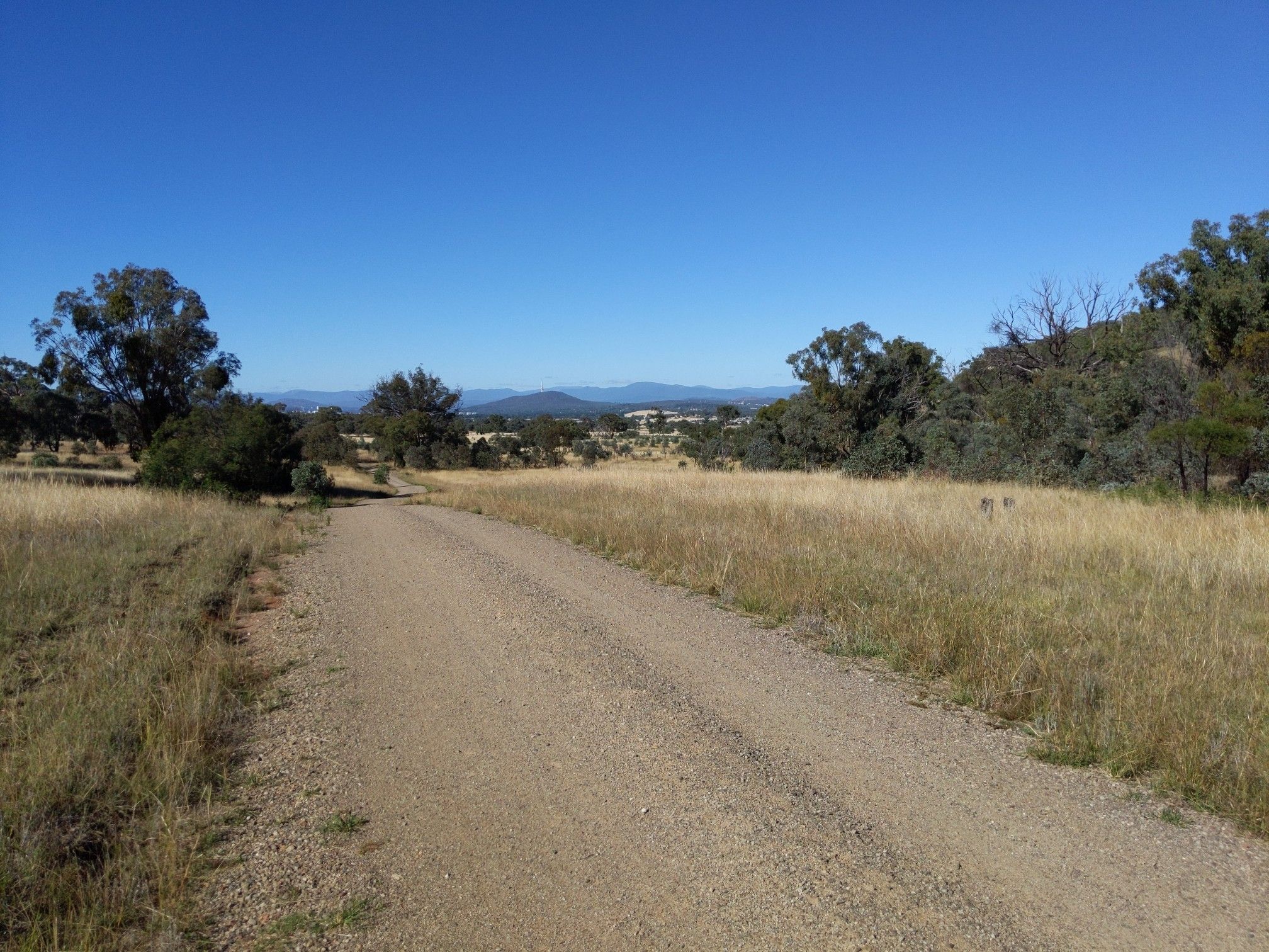 Looking towards Canberra